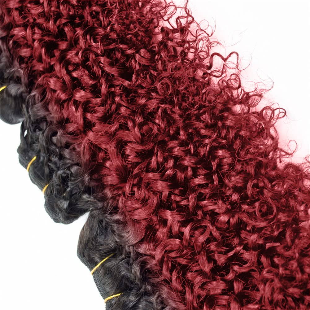 Selina 1B/Bug Brazilian Curly Hair Bundles 4 Bundles Kinky Curly Bundles Short Human Hair Brazilian Virgin Human Hair 50 Gram/Bu