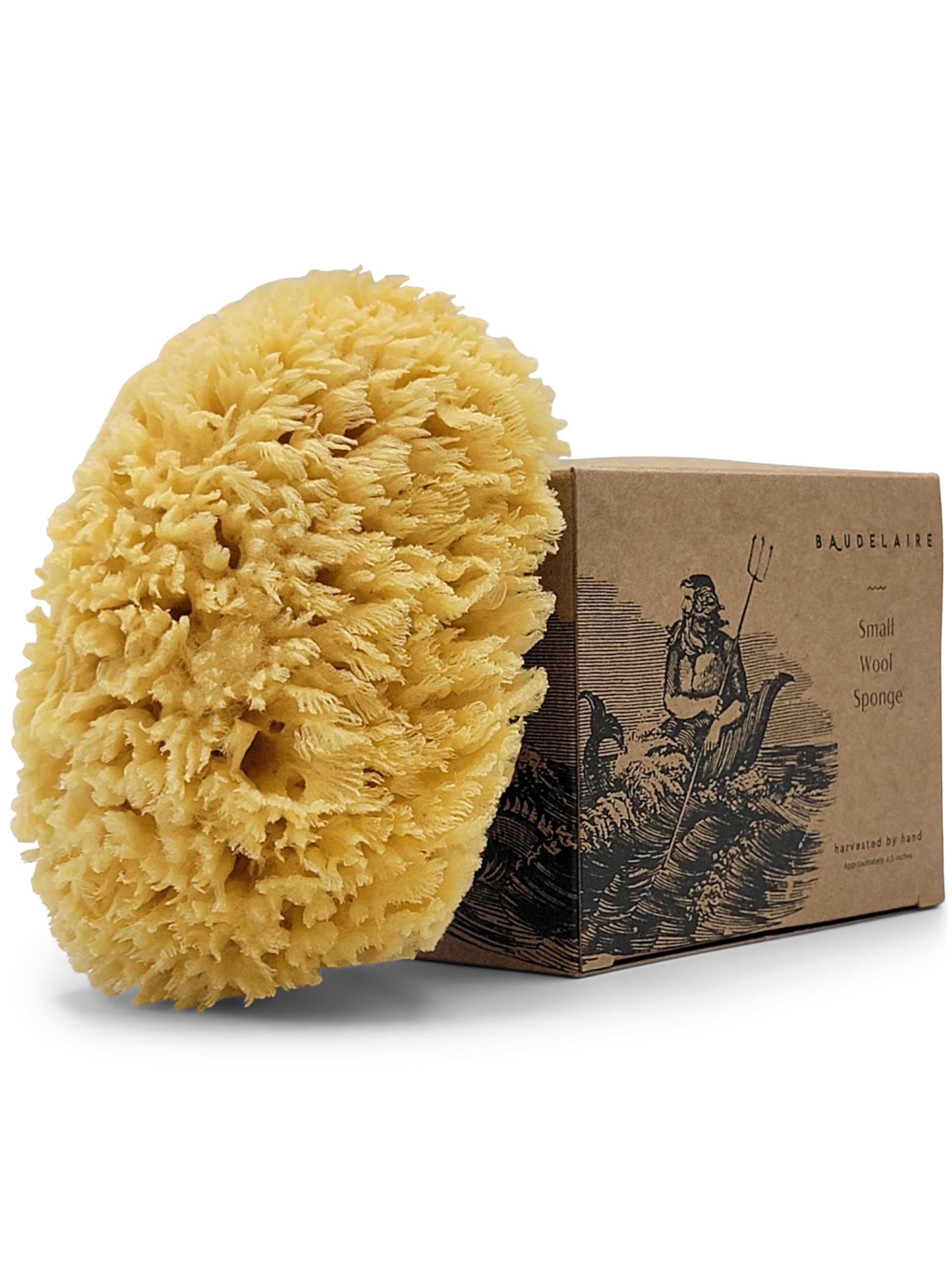 Sea Wool Sponge By Baudelaire 4.5'' - Natural Sea Sponges For Bathing - Bath Sea Sponge For Shower - Natural Sea Sponge Loofah |