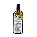Hollywood Beauty jamaican black castor oil 8 fluid ounce, Black, 8 Fl Oz