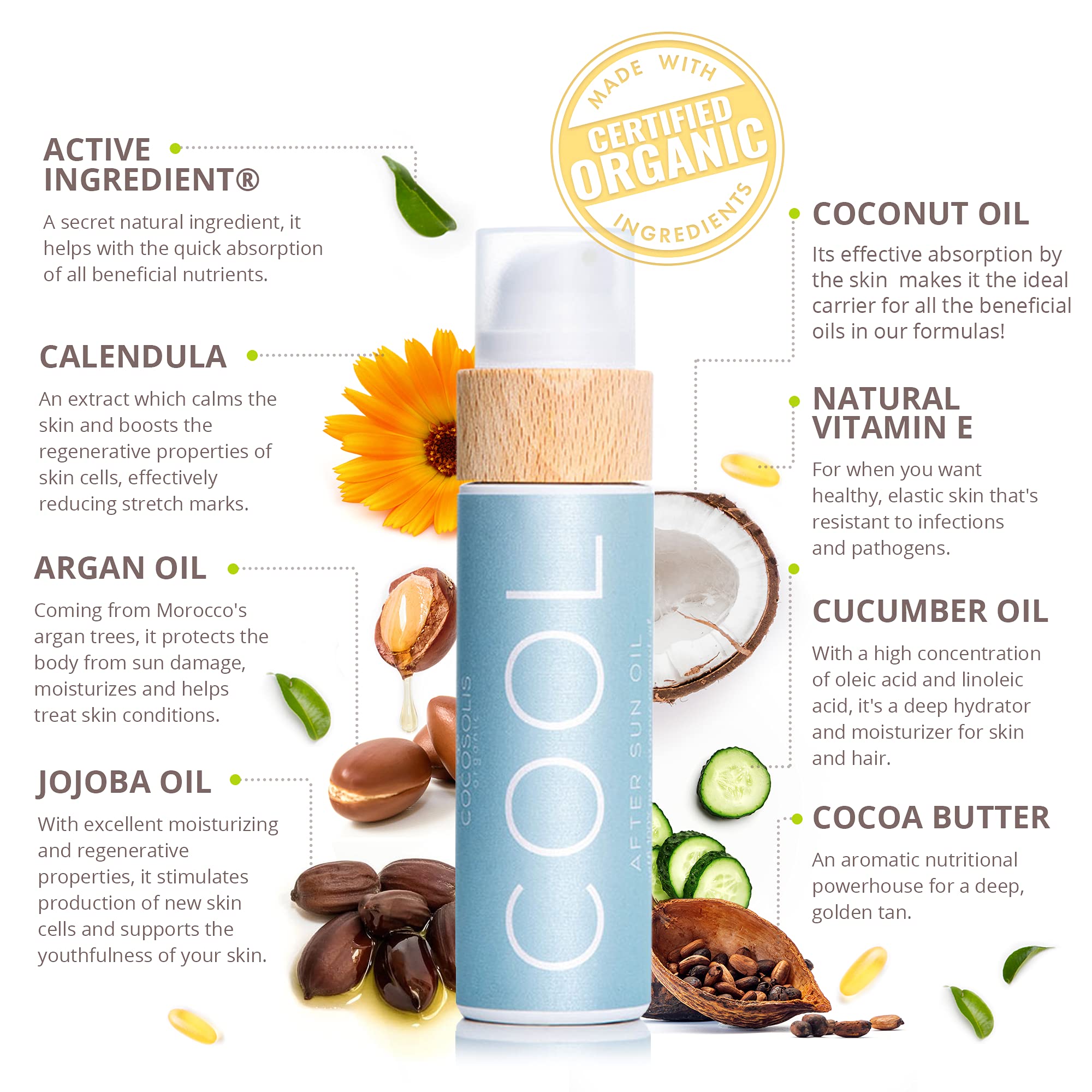 COCOSOLIS COOL After Sun Lotion | Organic After Sun for Tender Hydration & Recovery | Best After Sun Moisturizing Lotion with 9