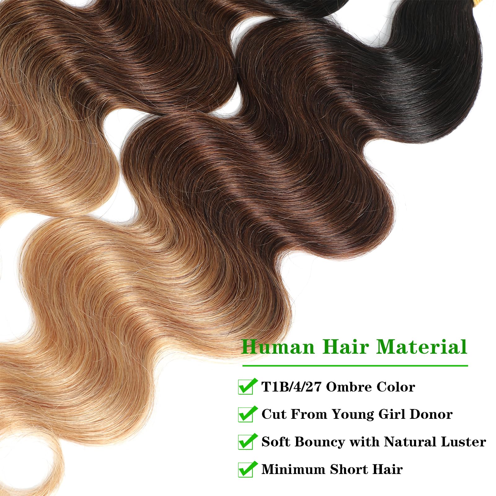 10A Ombre Human Body Wave Hair Bundles With Closure Ombre Brazilian Human Hair (T1B/4/27,20 22 24+18) Ombre Brazilian Virgin Rem