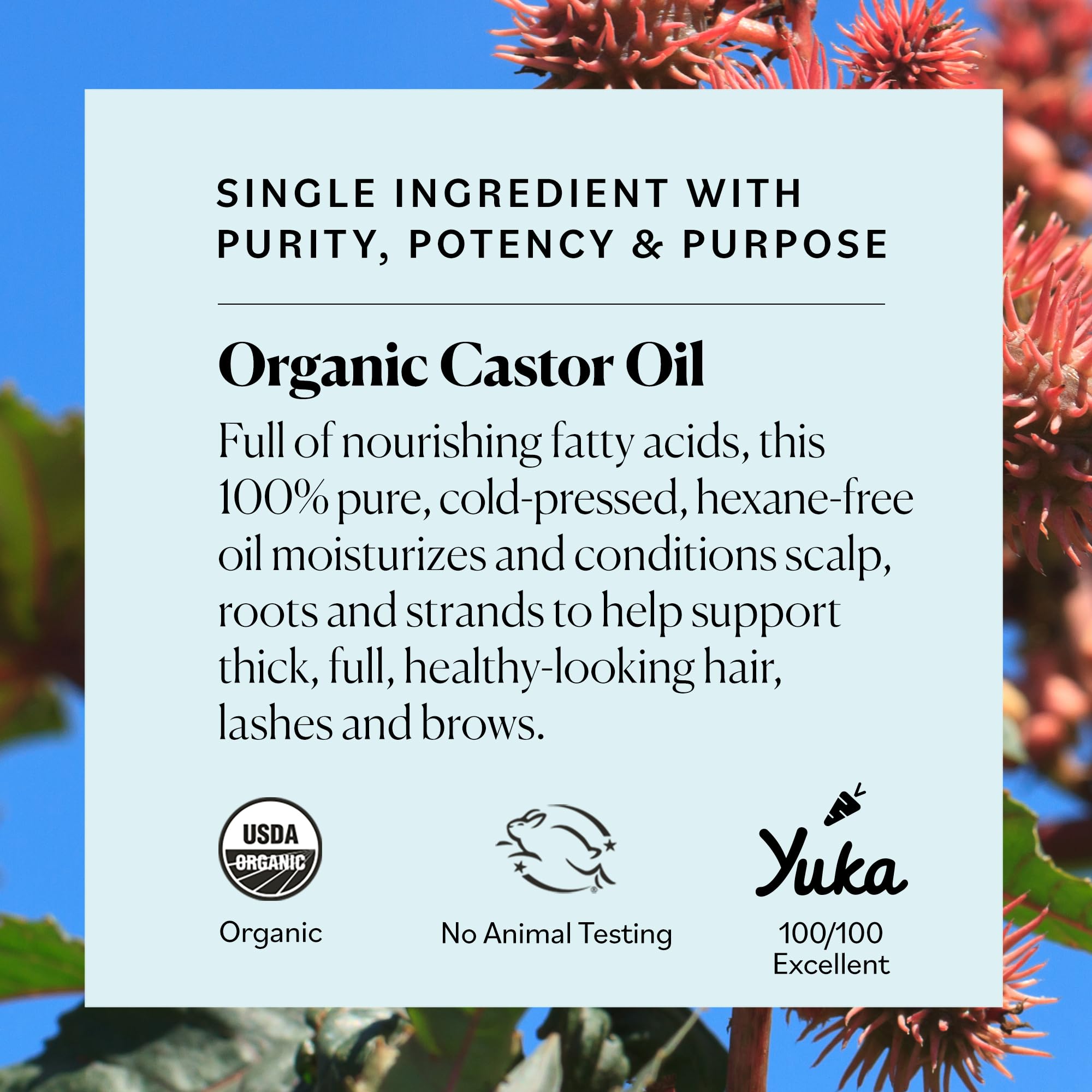 Sky Organics Organic Castor Oil (8 oz) USDA Certified Organic, 100% Pure, Cold Pressed, Hexane Free, Boost Hair Growth, Use with