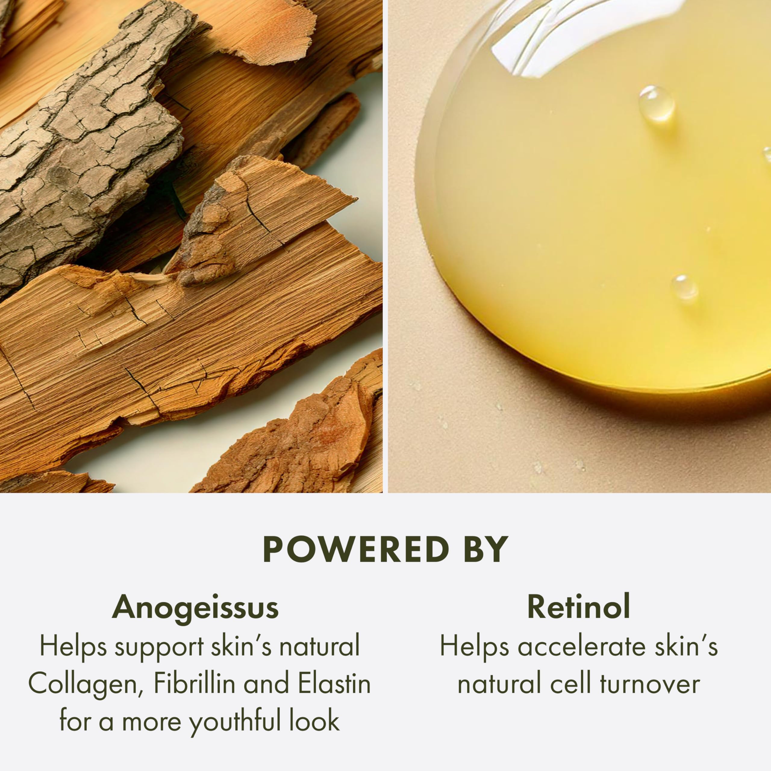 Origins Plantscription Retinol Night Moisturizer With Alpine Flower Unisex Moisturizer 1 oz