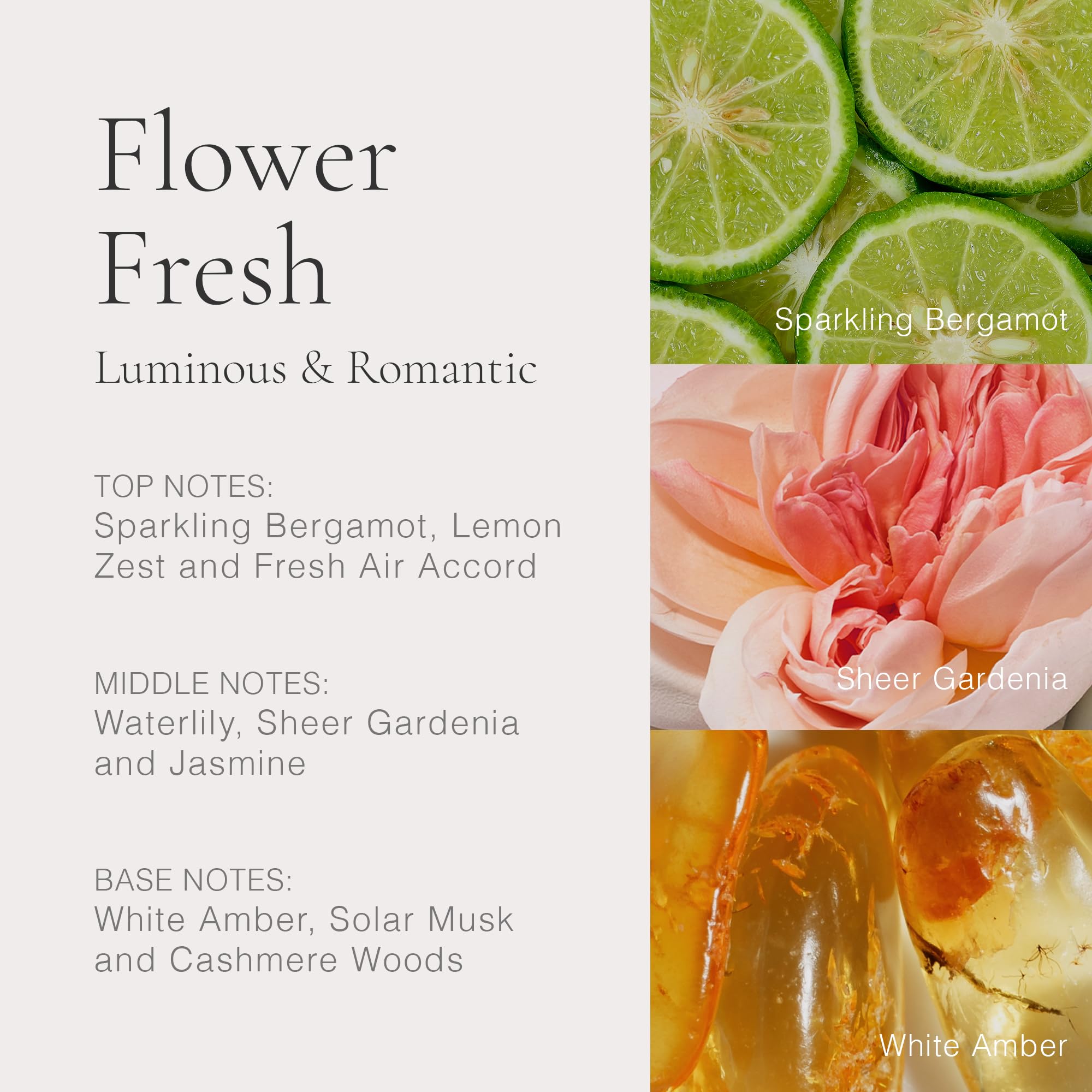 Clean Classic Flower Fresh 60Ml