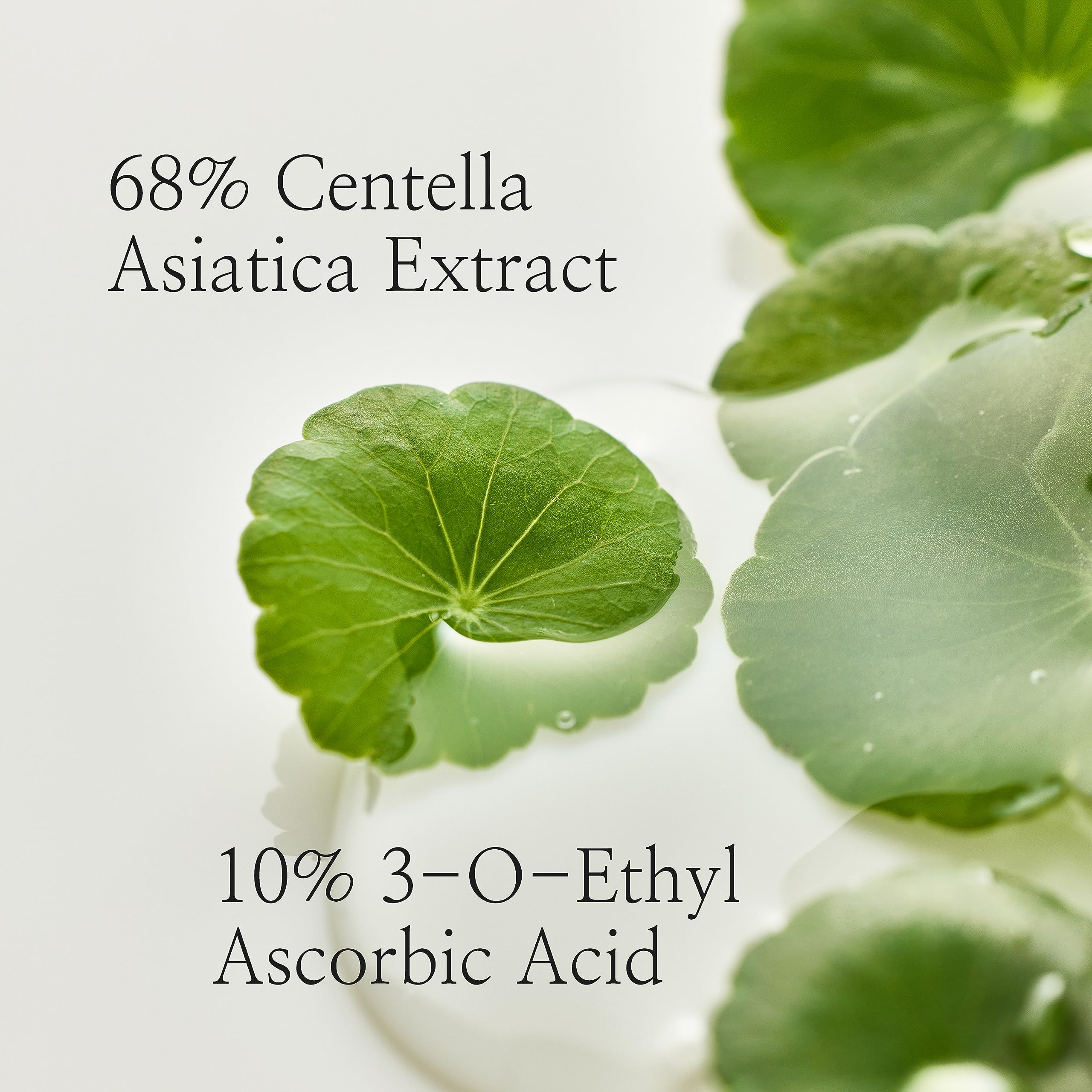 Beauty Of Joseon Light On Serum Vitamin C Centella Dark Spot Fine Lines Pigmentation Correcting Serum, Hydrating Moisturizer, Ko