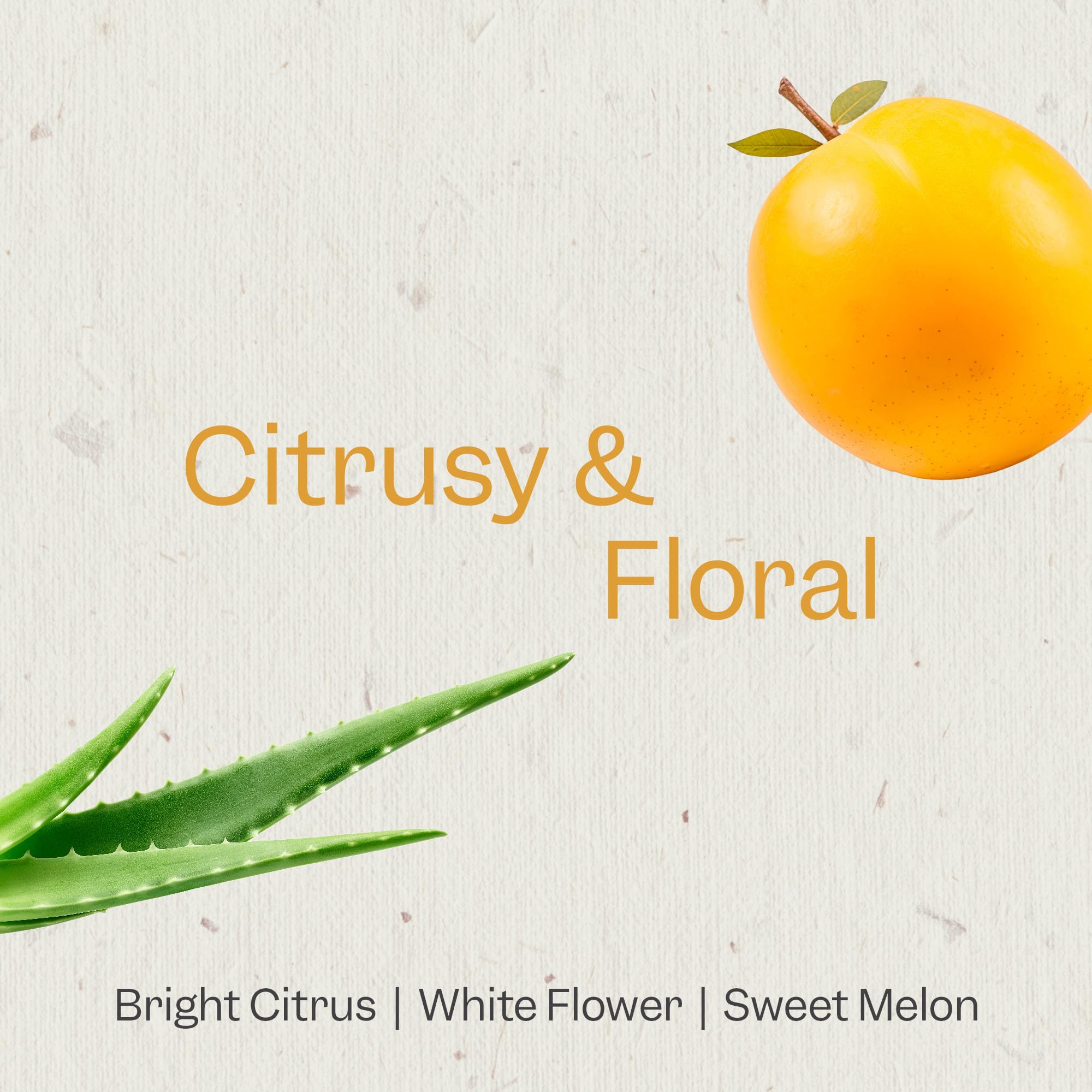 Renpure Plant Based Marula Oil And Aloe Ultra Smoothing Conditioner - Ideal For Dry, Frizzy Hair - Leaves Hair Hydrated - Gentle