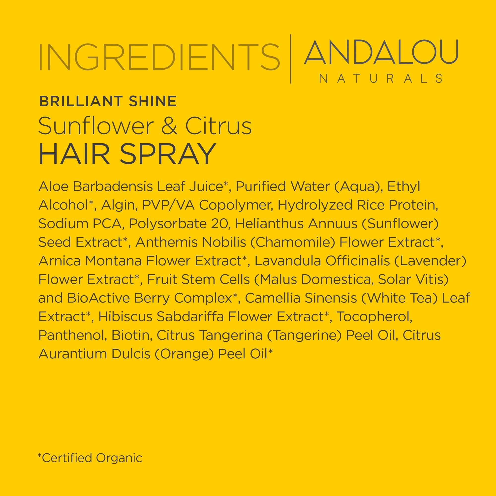 Andalou Naturals Hair Spray Prfct Hold Snf