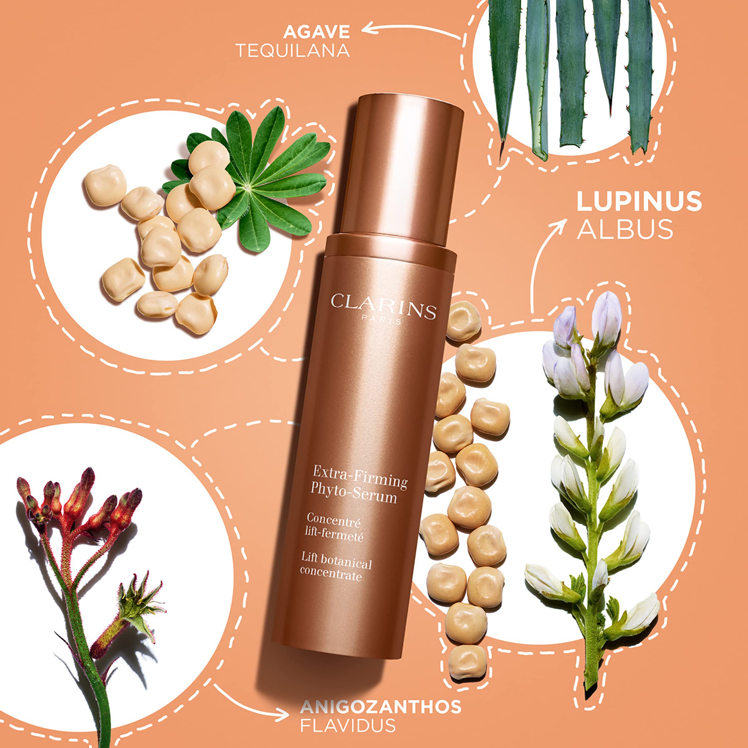 Clarins Extra-Firming Phyto-Serum  Anti-Aging  Visibly Firms, Lifts And Tightens Slackened Skin  Visibly Redefines Facial Contou