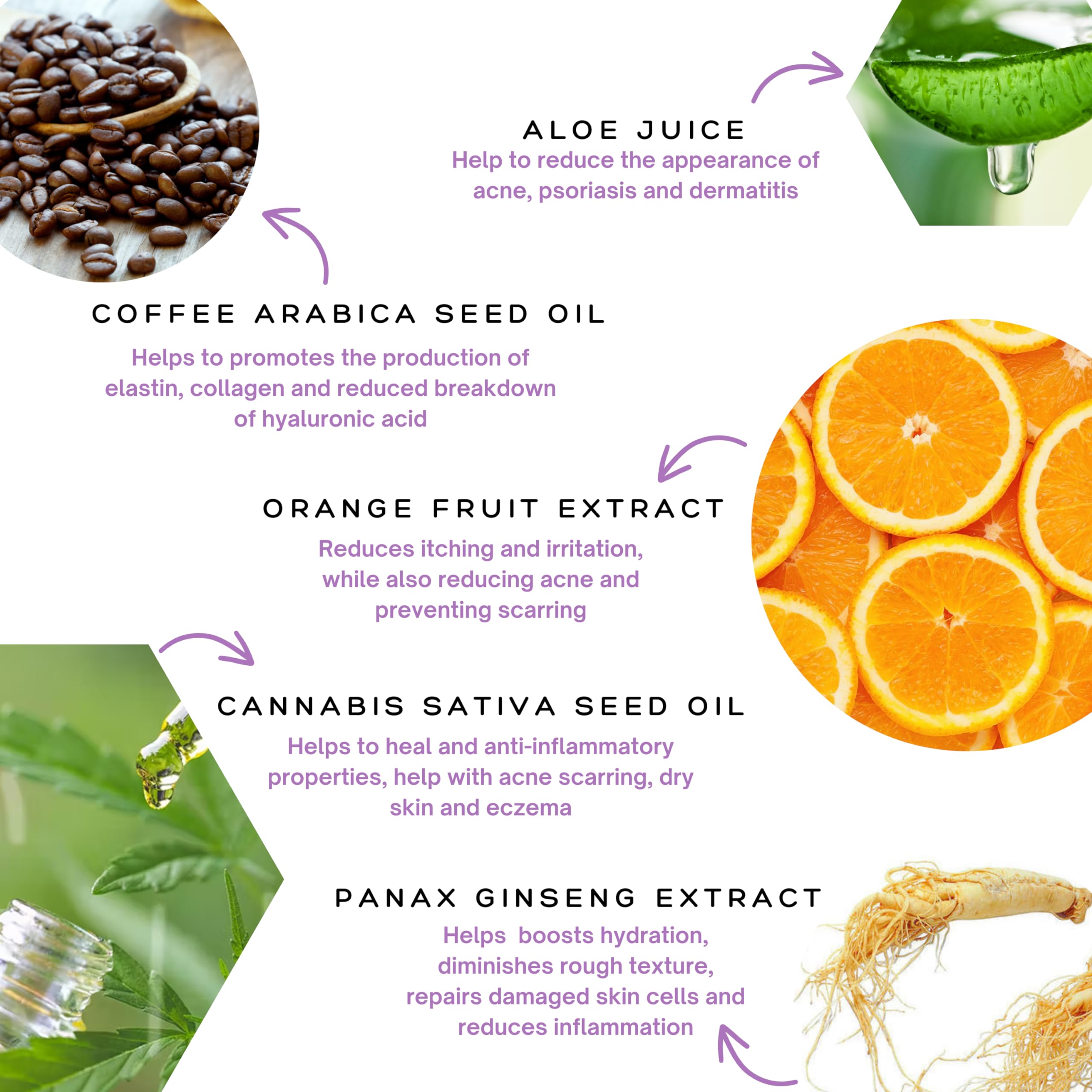 Spa Sciences - Detox Serum - Made in the USA - With Niacinamide, Zinc, Zeolite - Detoxify, Rejuvenate, Smooth - Vegan - For All