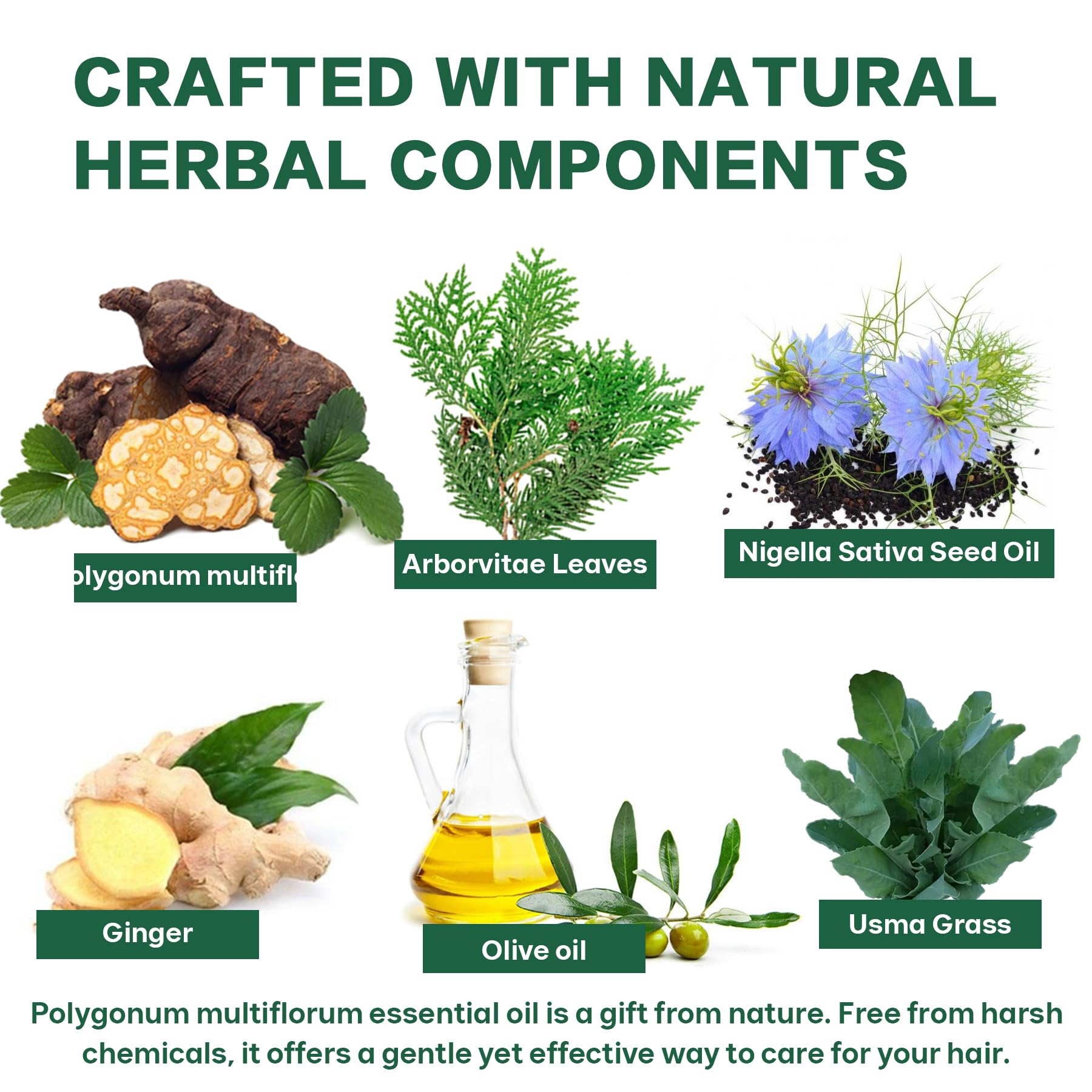 VAEYAE Natural Polygonum Multiflorum Hair Essential Oil, Nourish the Scalp & Strengthen Hair Roots, Usma Grass Promote Hair Grow