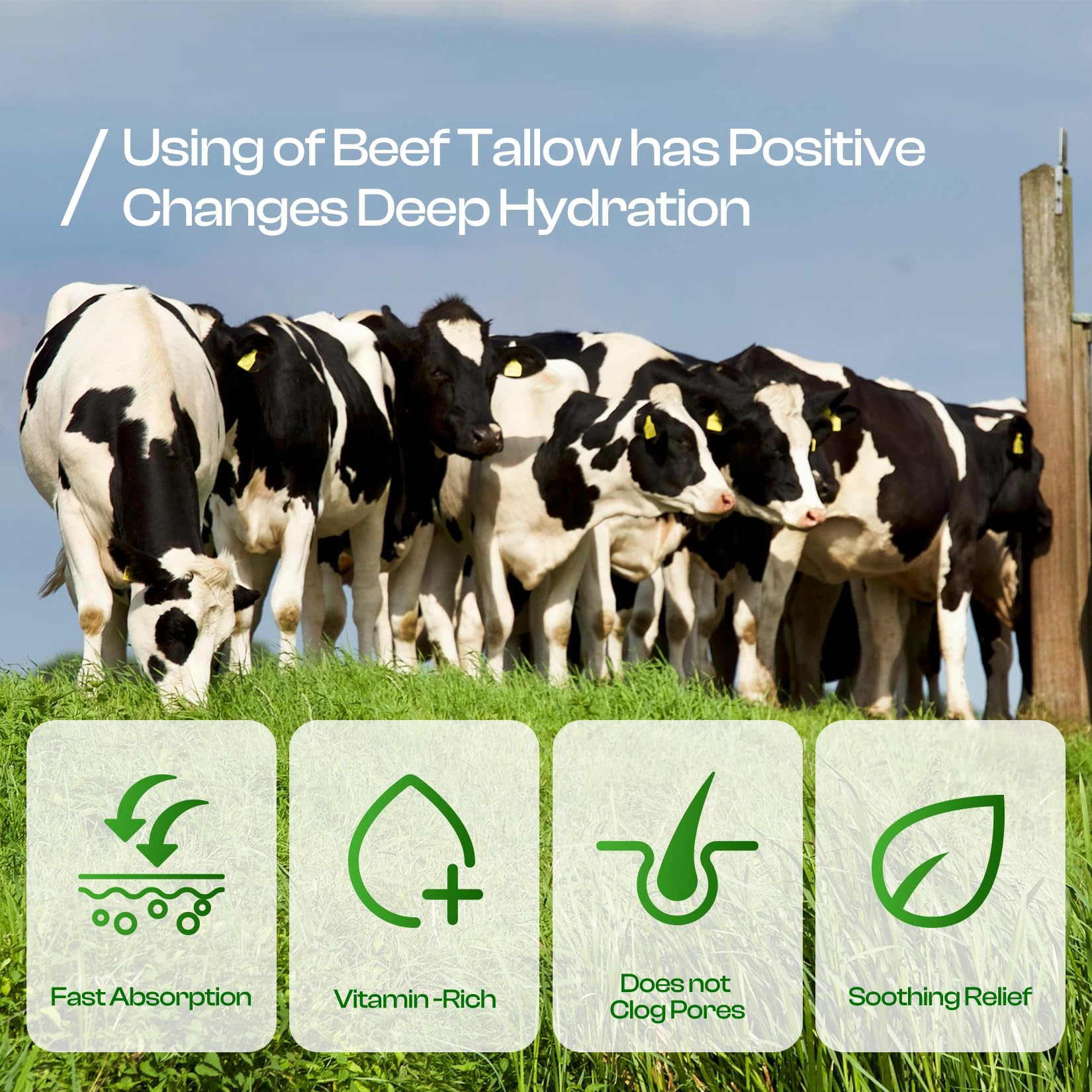 Sadoway Beef Tallow For Skin: Handmade Beef Tallow For Face - Organic Grass-Fed Whipped Beef Tallow And Honey Balm Tallow Face M