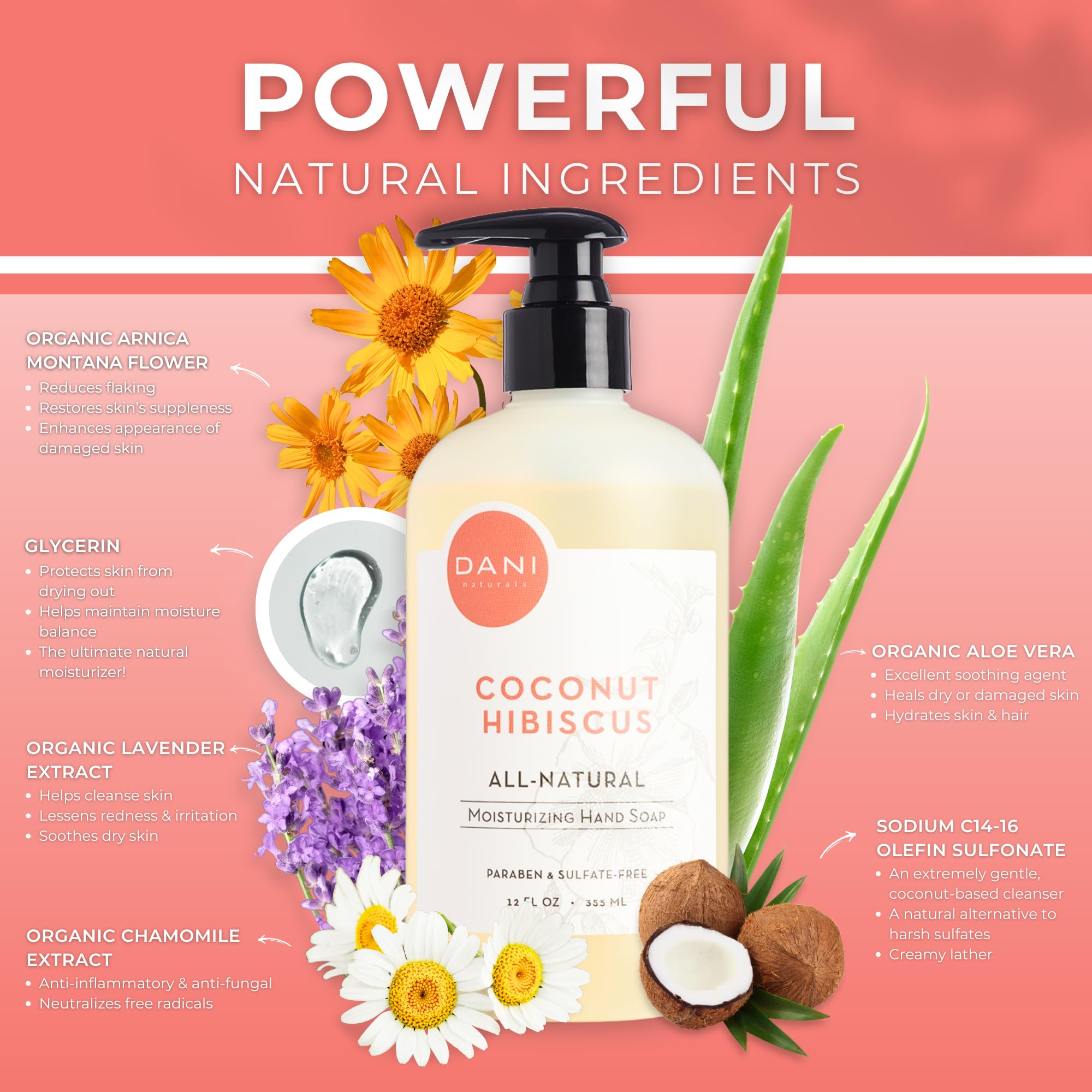 Dani Natural Moisturizing Liquid Handwash Naturals -Tropical Coconut Hibiscus Scented - Gentle Soap With Organic Aloe Vera - 12