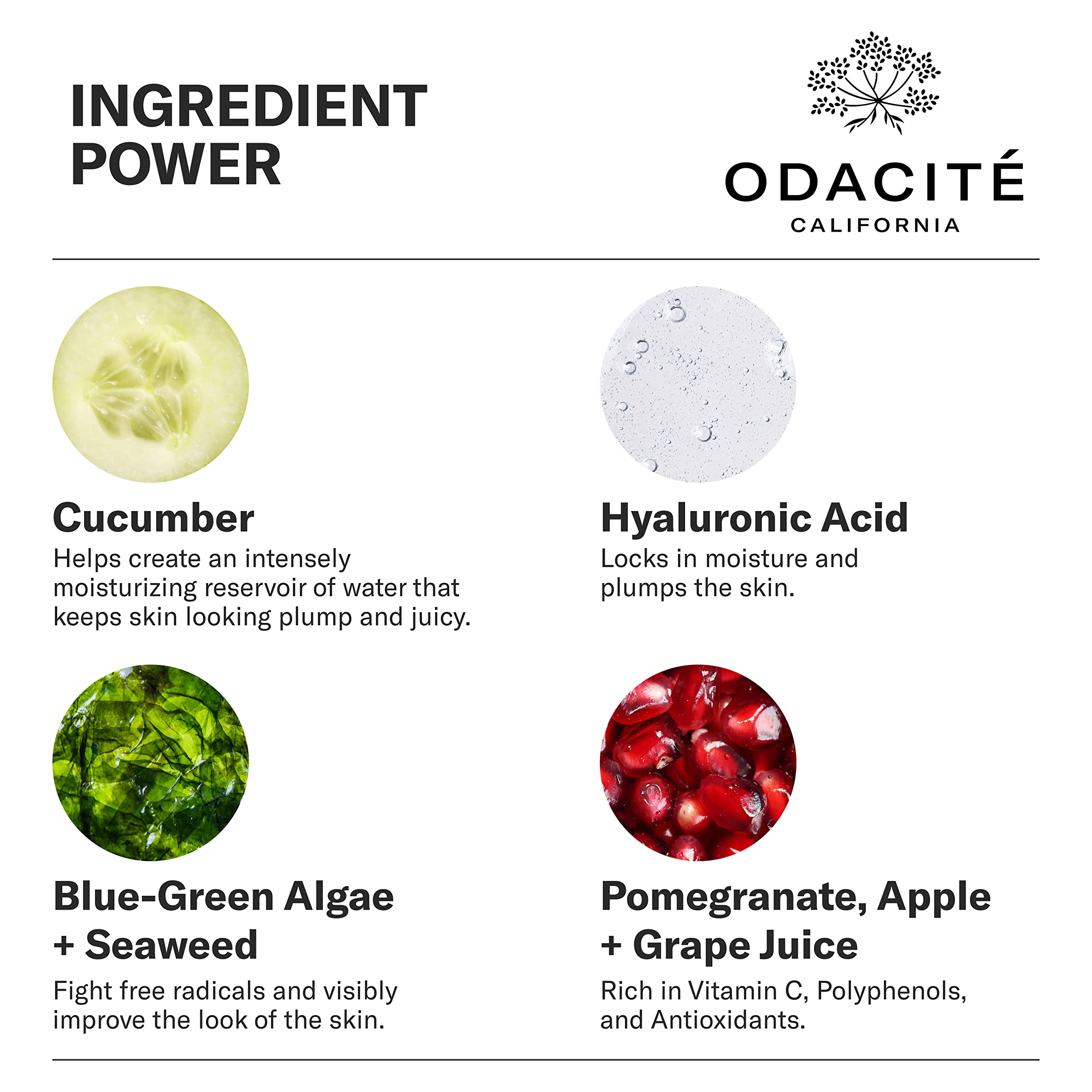 Odacite Hydrating Face Moisturizer - Green Smoothie Quenching Creme, Face Cream - Moisture Locking Face Cream Is Lightweight & N