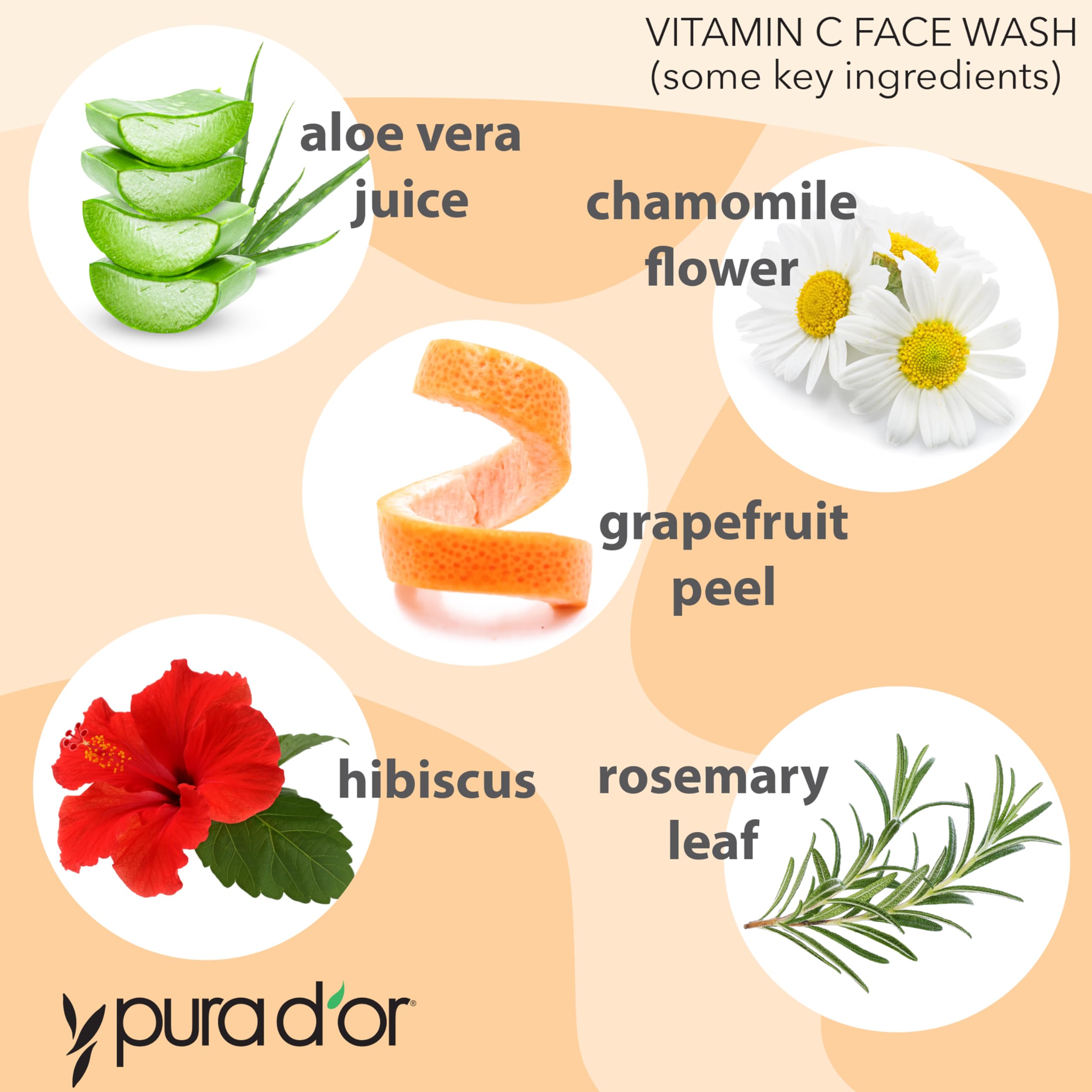 Pura D'Or Vitamin C Face Wash (8Oz X3 = 24Oz) Antioxidant Rich Facial Cleanser For Radiant Glow & Even Skin Tone - Gentle, Refre