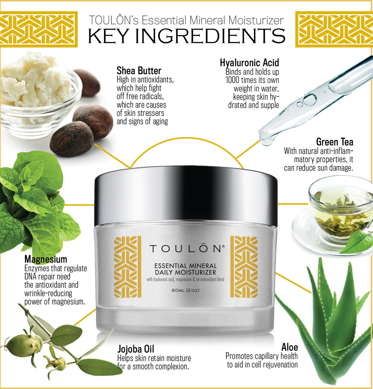 TOULON Face Moisturizer Day Cream for Women with Hyaluronic Acid, Essential Minerals & Antioxidants