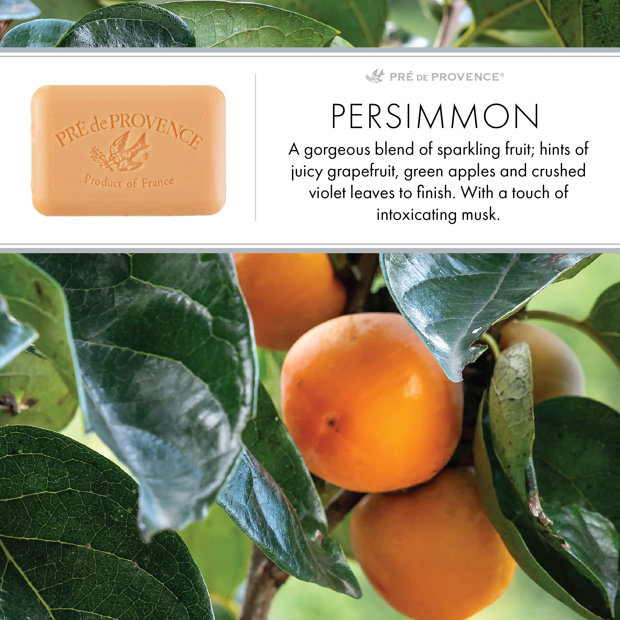 Pre de Provence Artisanal Soap Bar, Enriched with Organic Shea Butter, Natural French Skincare, Quad Milled for Rich Smooth Lath