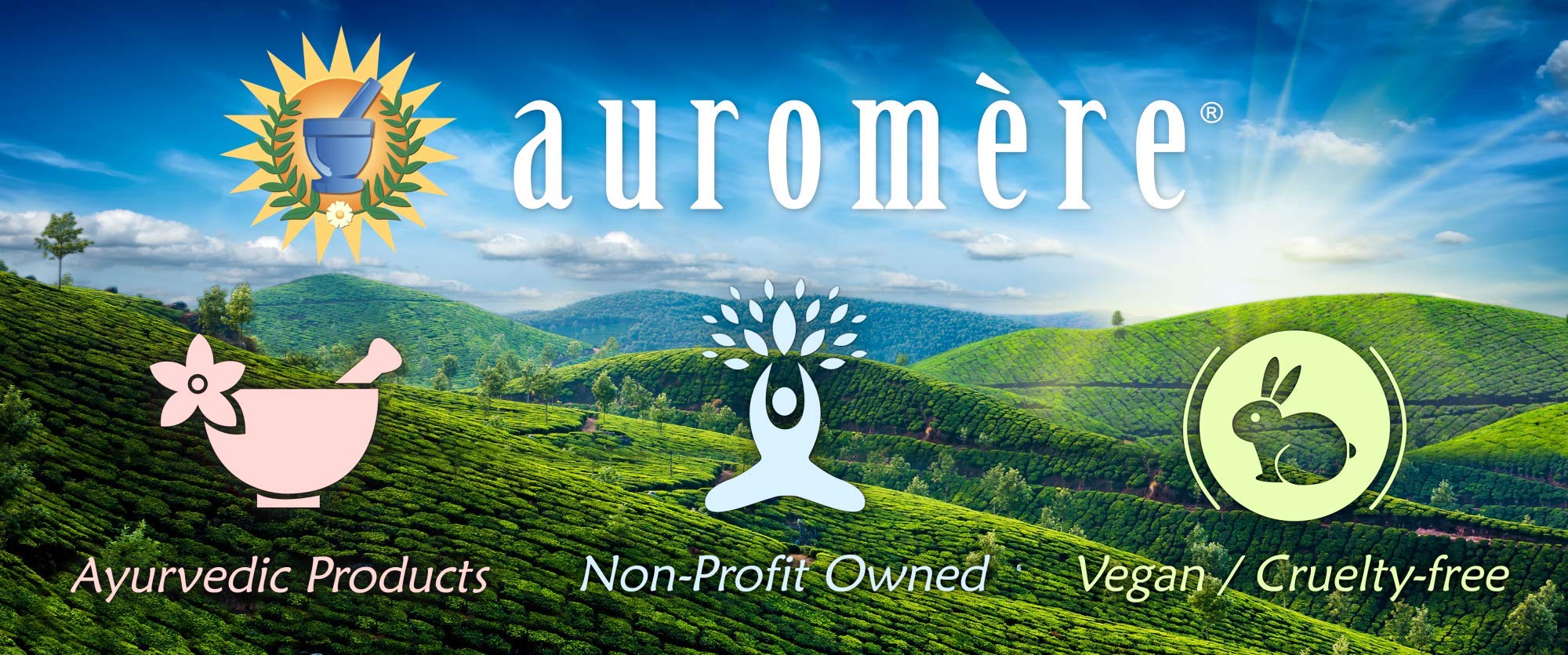 Ayurvedic Bar Soap Sandal-Turmeric By Auromere - All Natural Handmade And Eco-Friendly Bar Soap For Sensitive Skin - 2.75 Oz