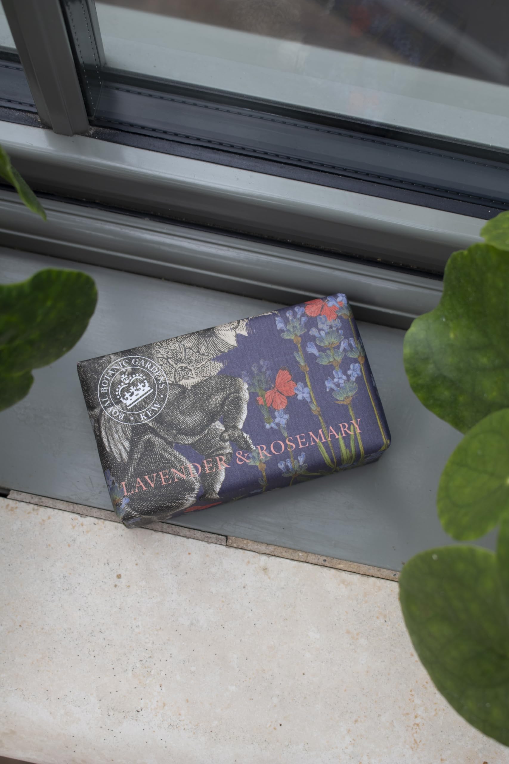 The English Soap Company Royal Botanical Gardens Kew Wrapped Soap Bar, Luxury Lavender Shea Butter Soap Bar, Moisturising Soap B