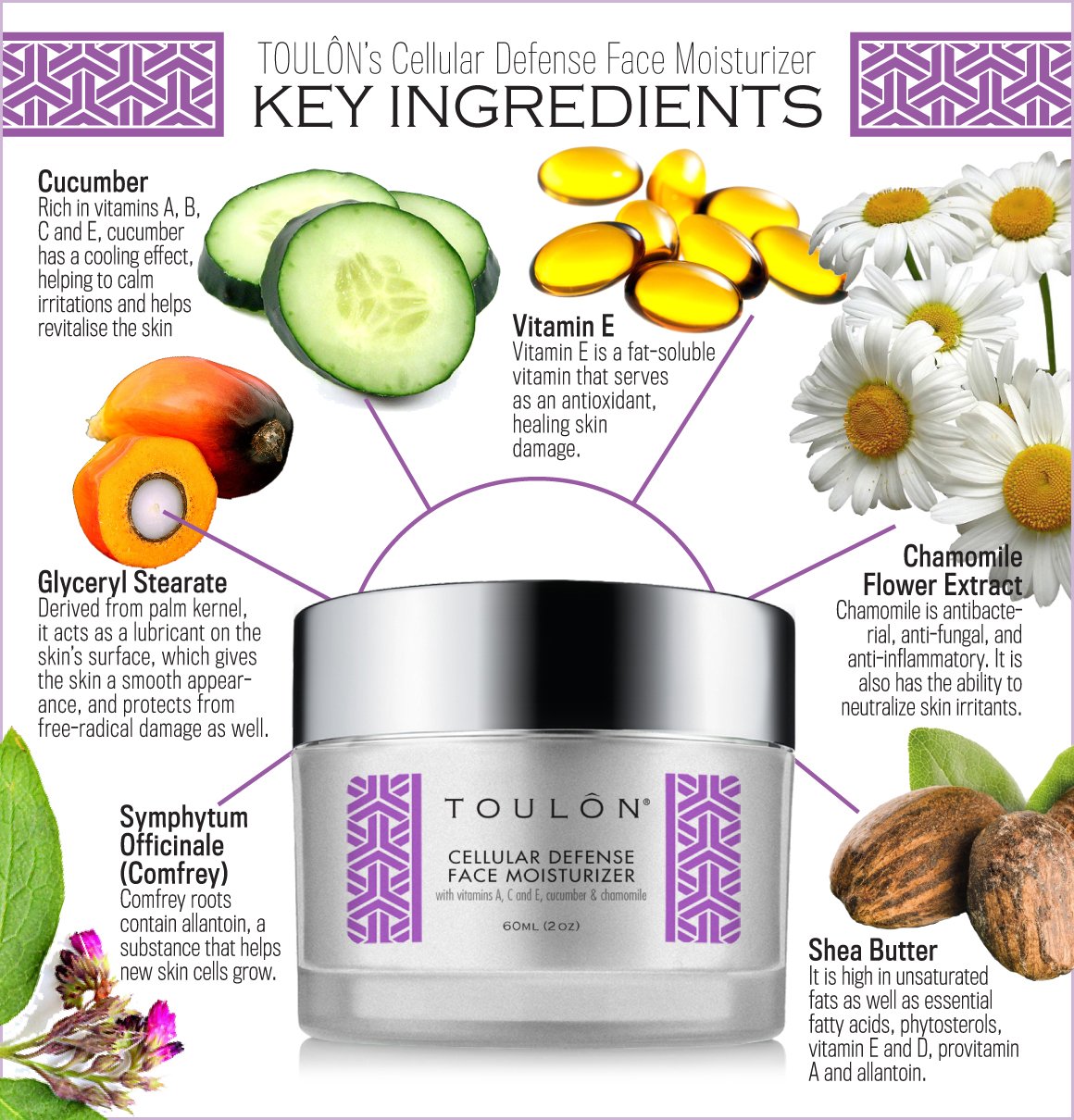 Antioxidant Moisturizer for Face with Vitamin A,C,E,Cucumber and Chamomile. Reduces Wrinkles and Fights Free Radical Damage, 2 o