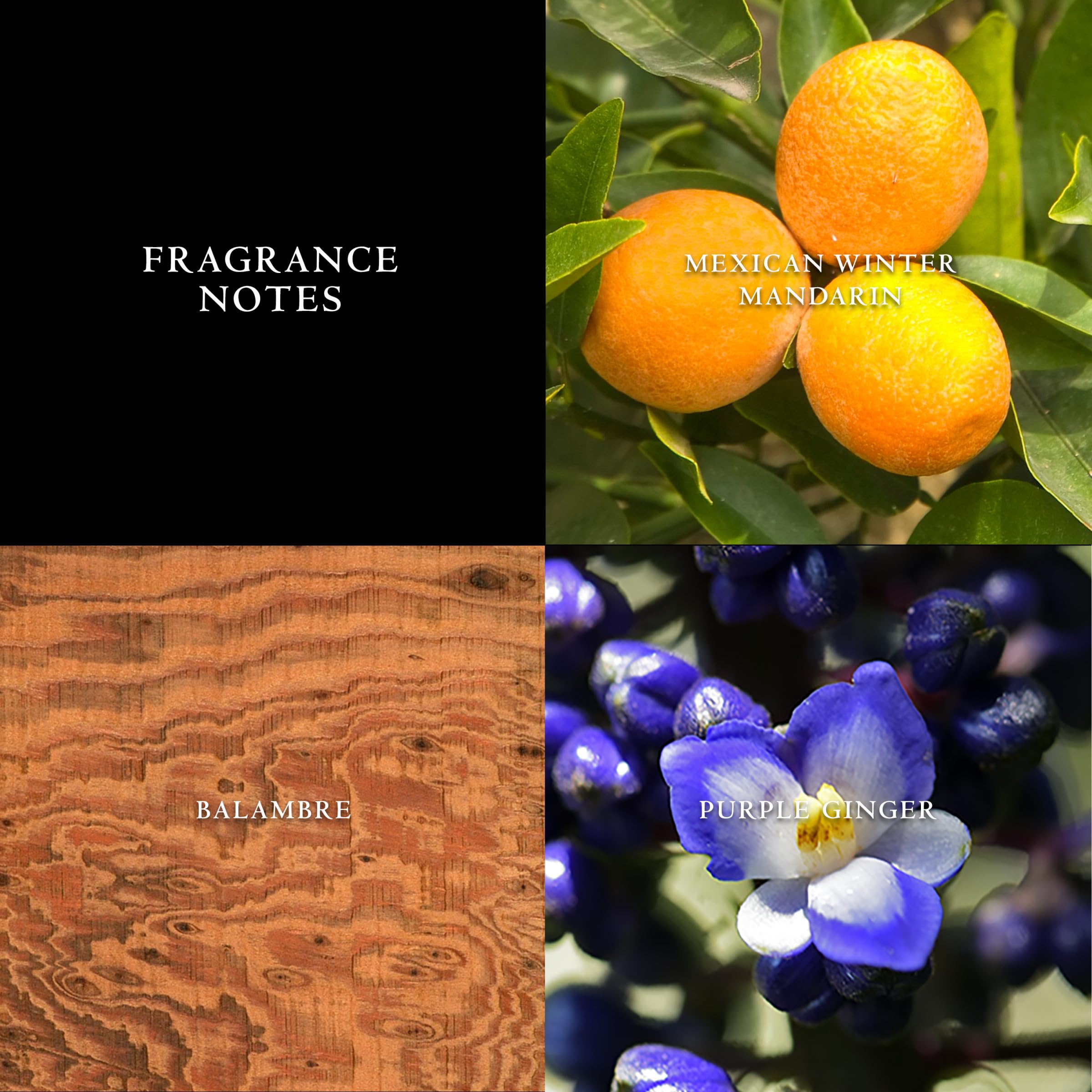 John Varvatos Artisan Mens Cologne Spray, 2.5 Fl. Oz. Edt