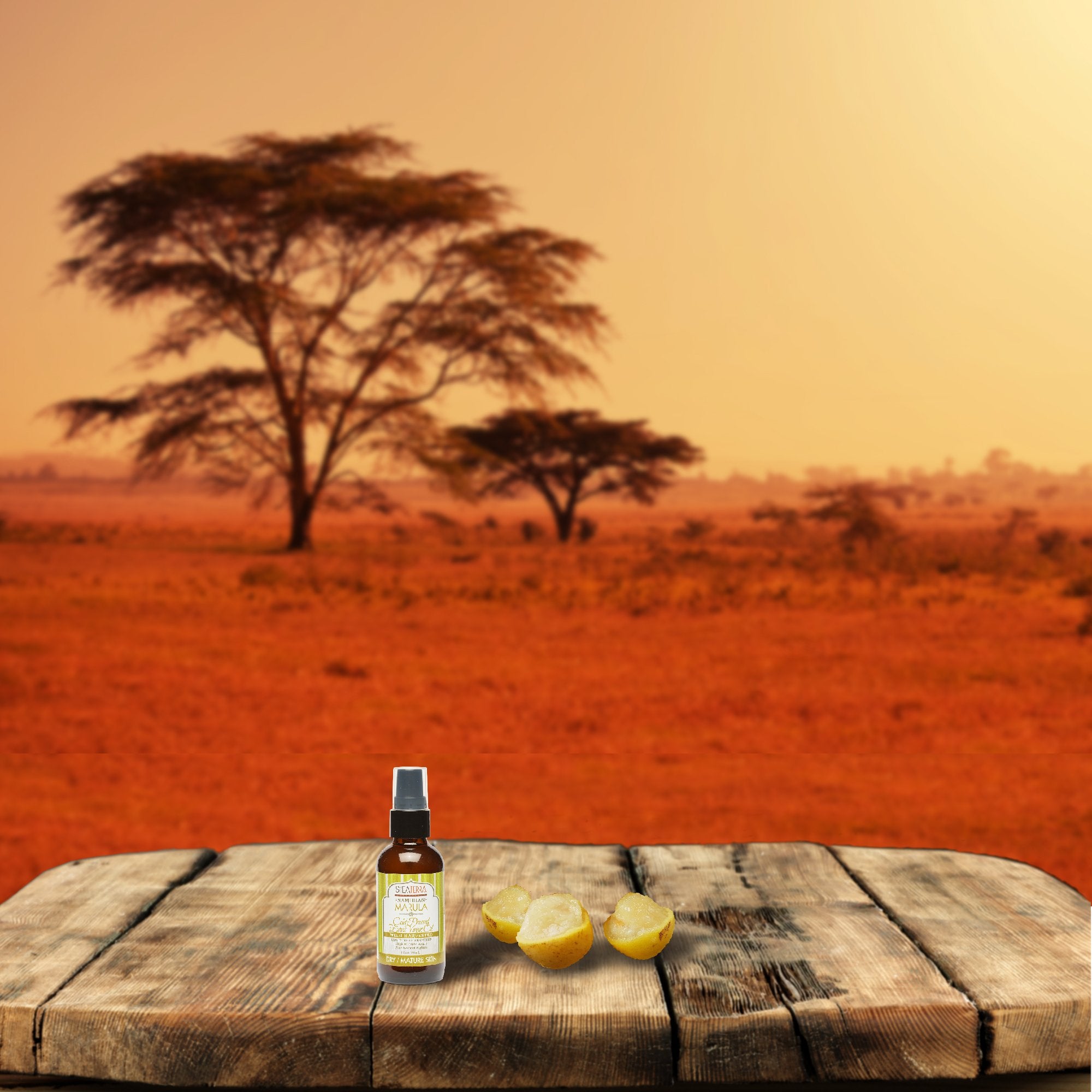Shea Terra Namibian Marula Cold-Pressed Extra Virgin Oil | Nutrient-Rich, All Natural & Organic Oil With Essential Fatty Acid An