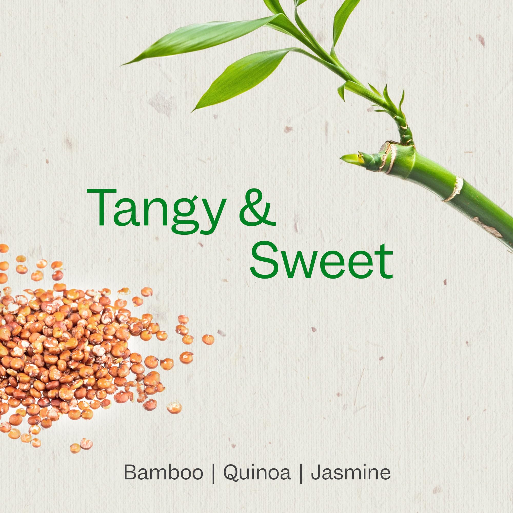 RENPURE Bamboo & Quinoa Conditioner, Plant-Based - Restores, Hydrates & Strengthens For Healthier Hair - For Weak, Dull & Damage