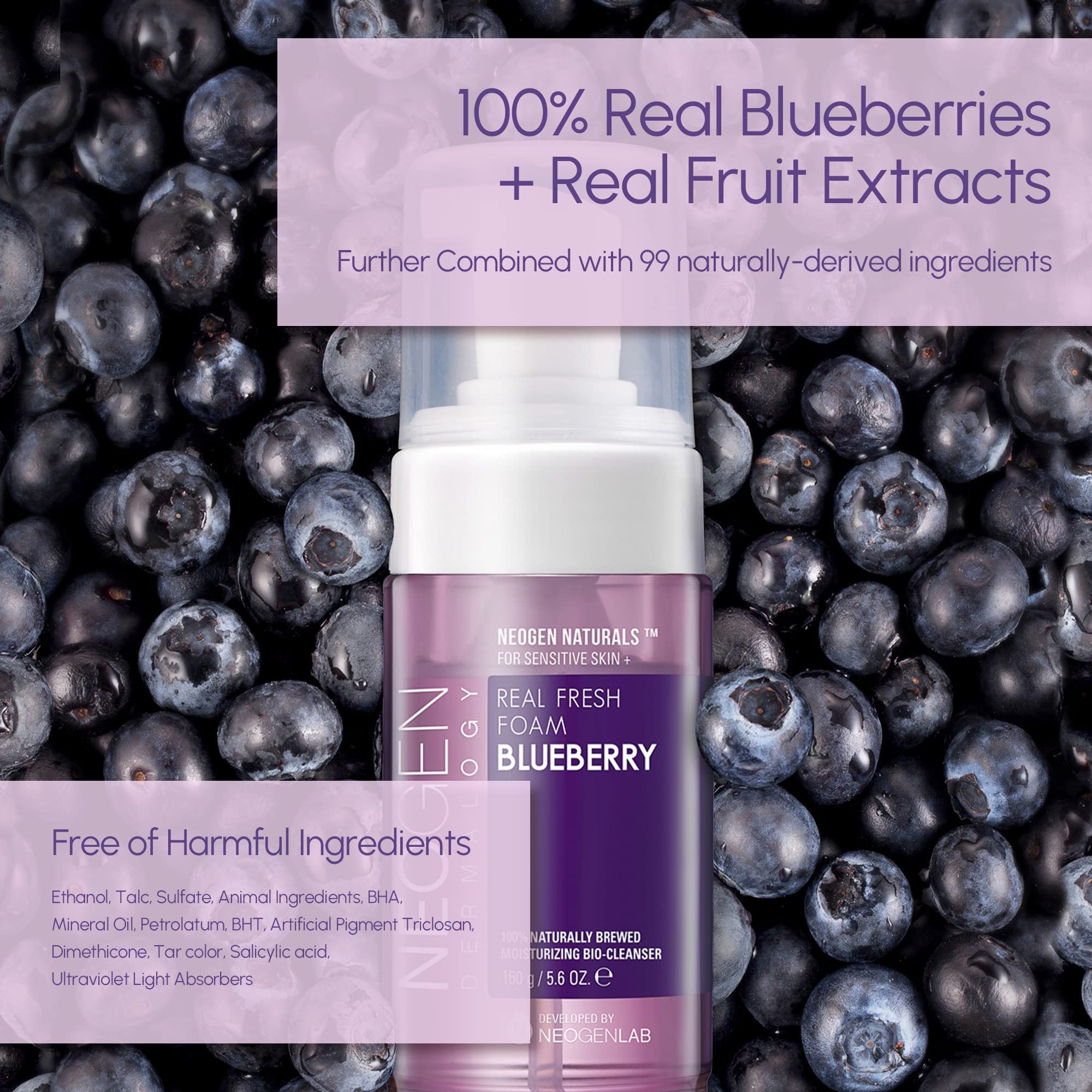 DERMALOGY by NEOGENLAB Real Fresh Foam Cleanser, Blueberry 5.6 Fl Oz (160g) - Hydrating Gentle Cleansing Foam with Real Blueberr