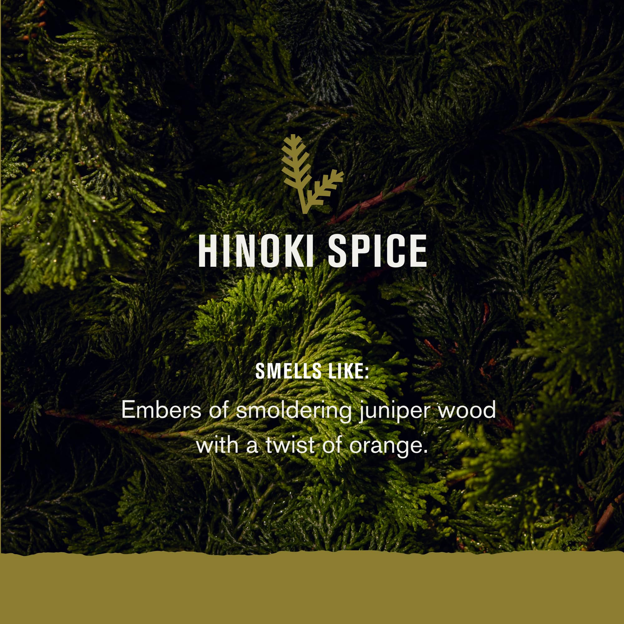 Every Man Jack Small Batch Beard Butter- Hinoki Spice Fragrance - Rejuvenates, Hydrates, And Styles Dry, Unruly Beards While Rel