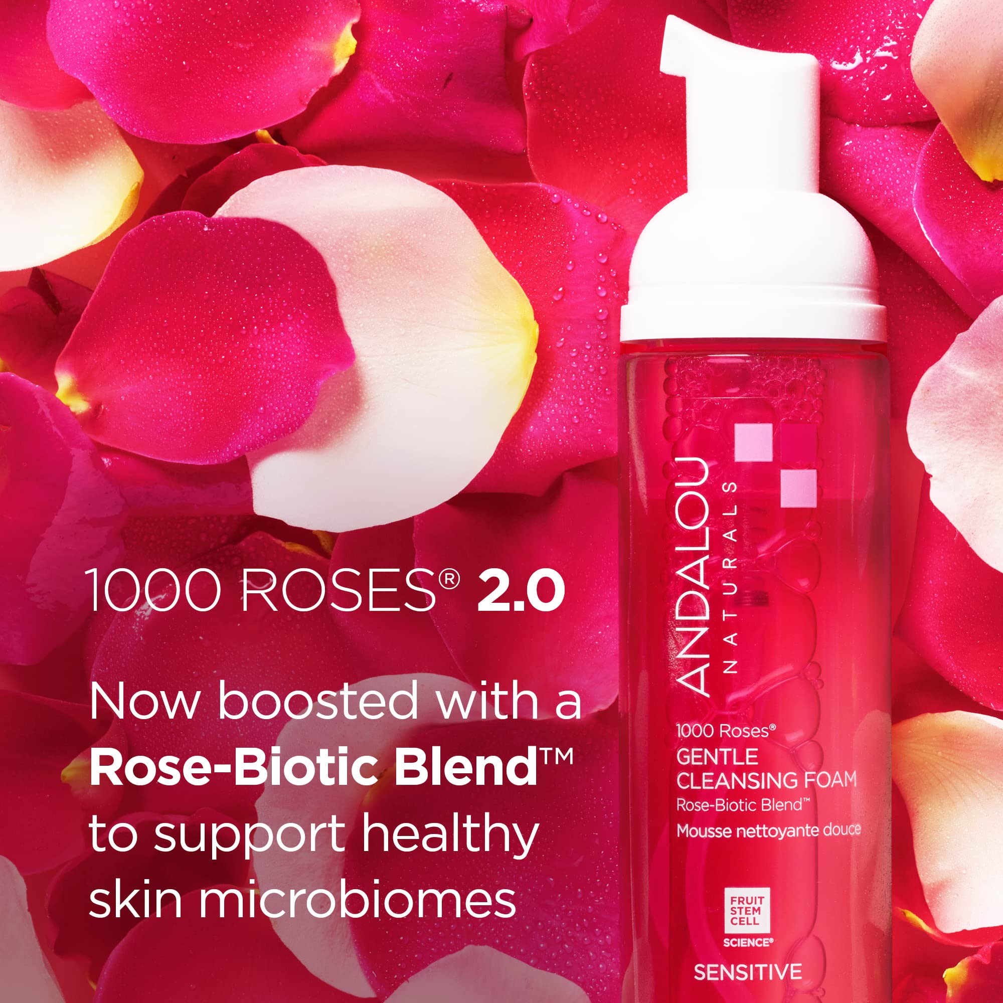 Andalou Naturals 1000 Roses Gentle Cleansing Foam | Foaming Face Wash with Rose Stem Cells & Organic Aloe Leaf Juice | Hydrating