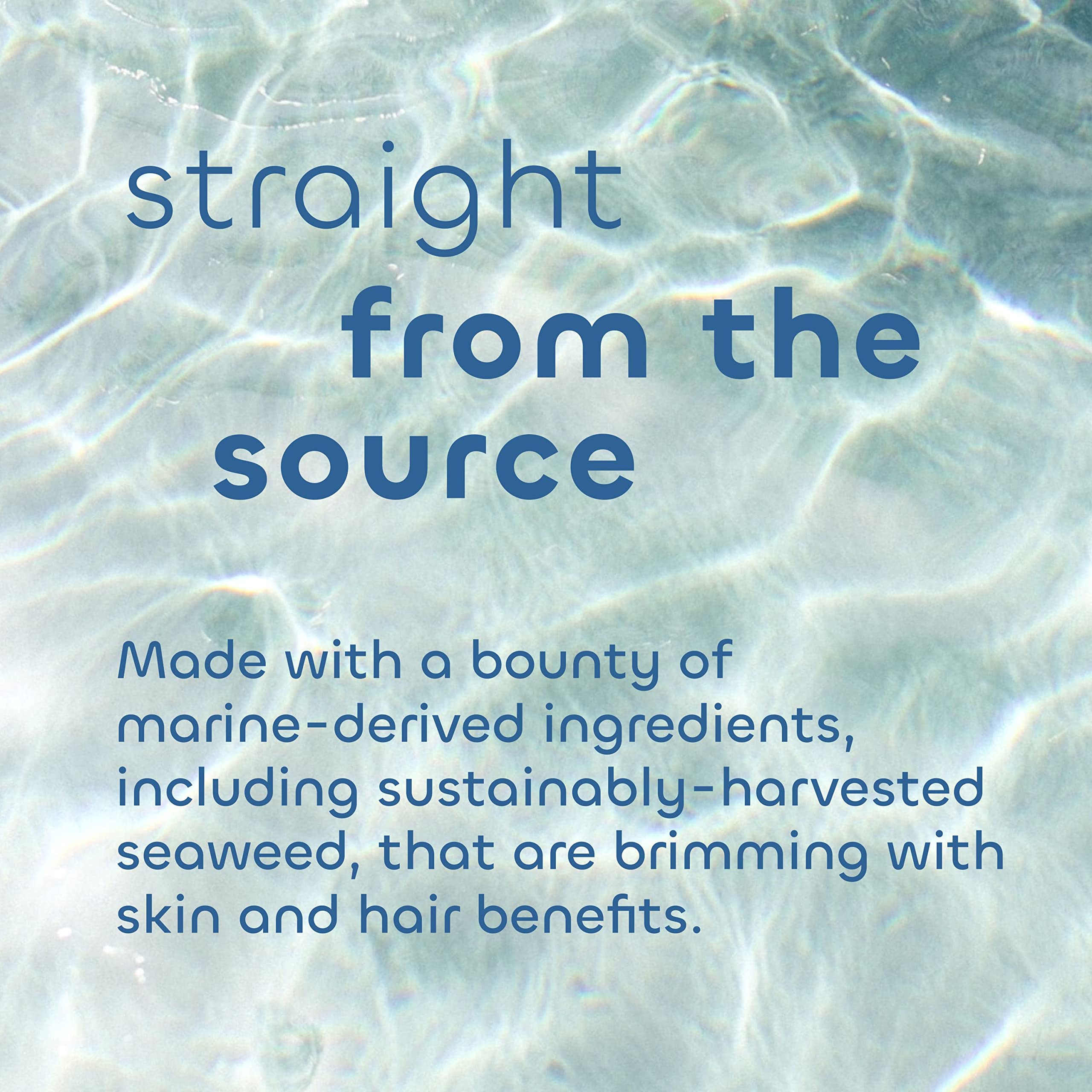 Seaweed Bath Co. Smooth Shampoo And Conditioner Set, Citrus Vanilla Scent, 12 Ounce (Pack Of 2), Sustainably Harvested Seaweed,