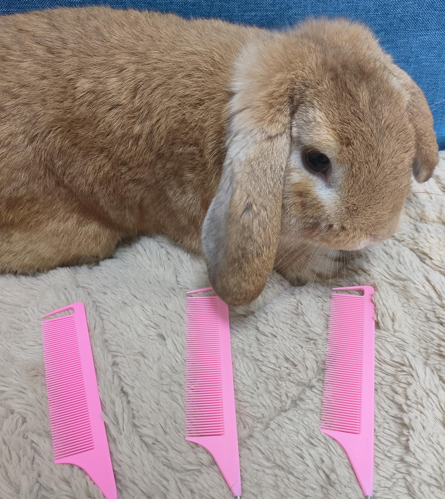 6Pcs Hair Rat Tail Comb Metal Carbon Parting Hairdressing Styling Tools For Women And Girls (Pink)