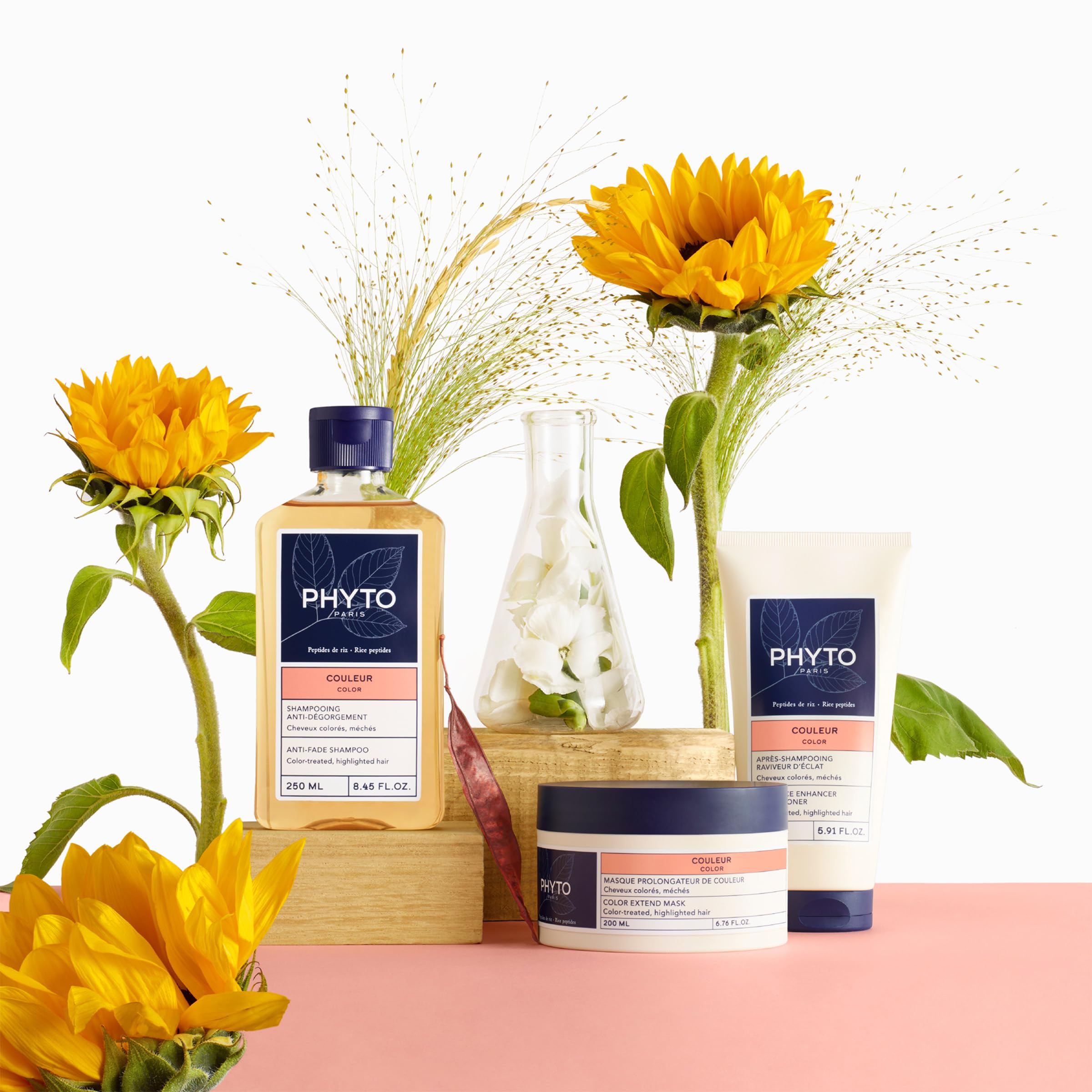 Phyto Color Protecting Shampoo for Coloured Hair - Radiance Enhancing & Shine Boosting, Sulfate Free, Colour Safe, 12 Washes Lon