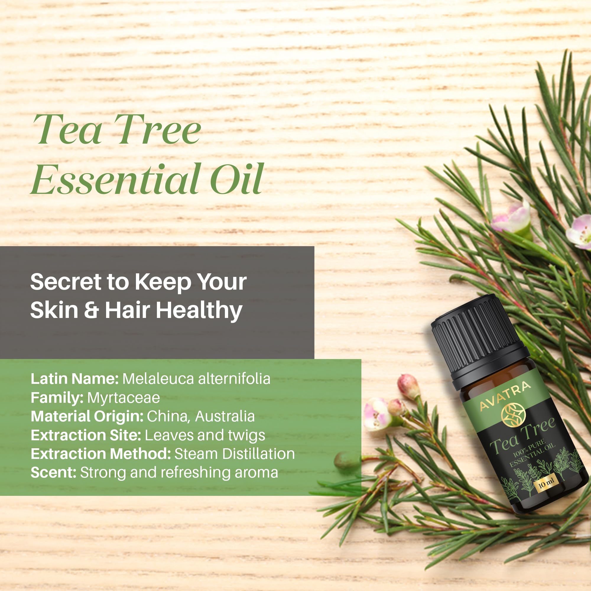 Avatra Pure Tea Tree Essential Oil for Skin, Hair, Face, Acne, Scalp, Foot and Toenails Fungus, 100% Natural Tea Tree Essential