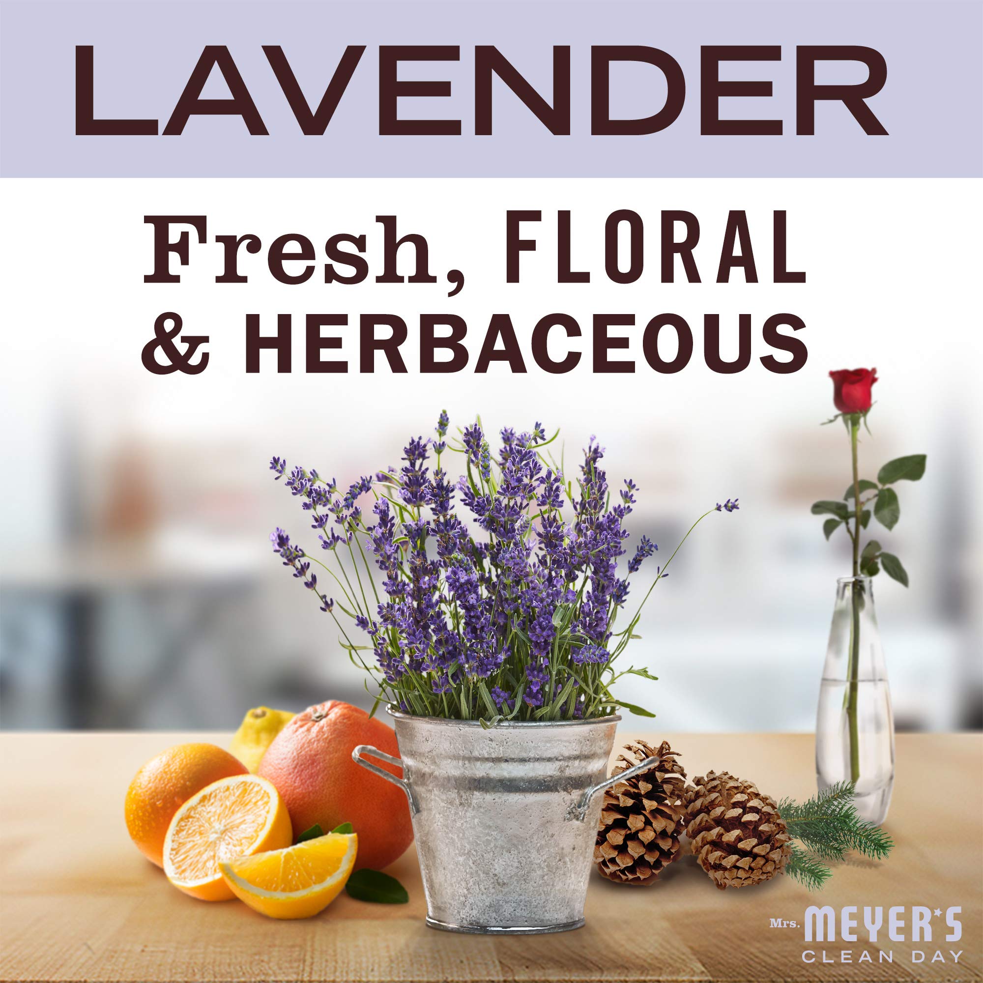 Mrs Meyers Mrs. Meyer's Clean Day Foaming Hand Soap (662031)