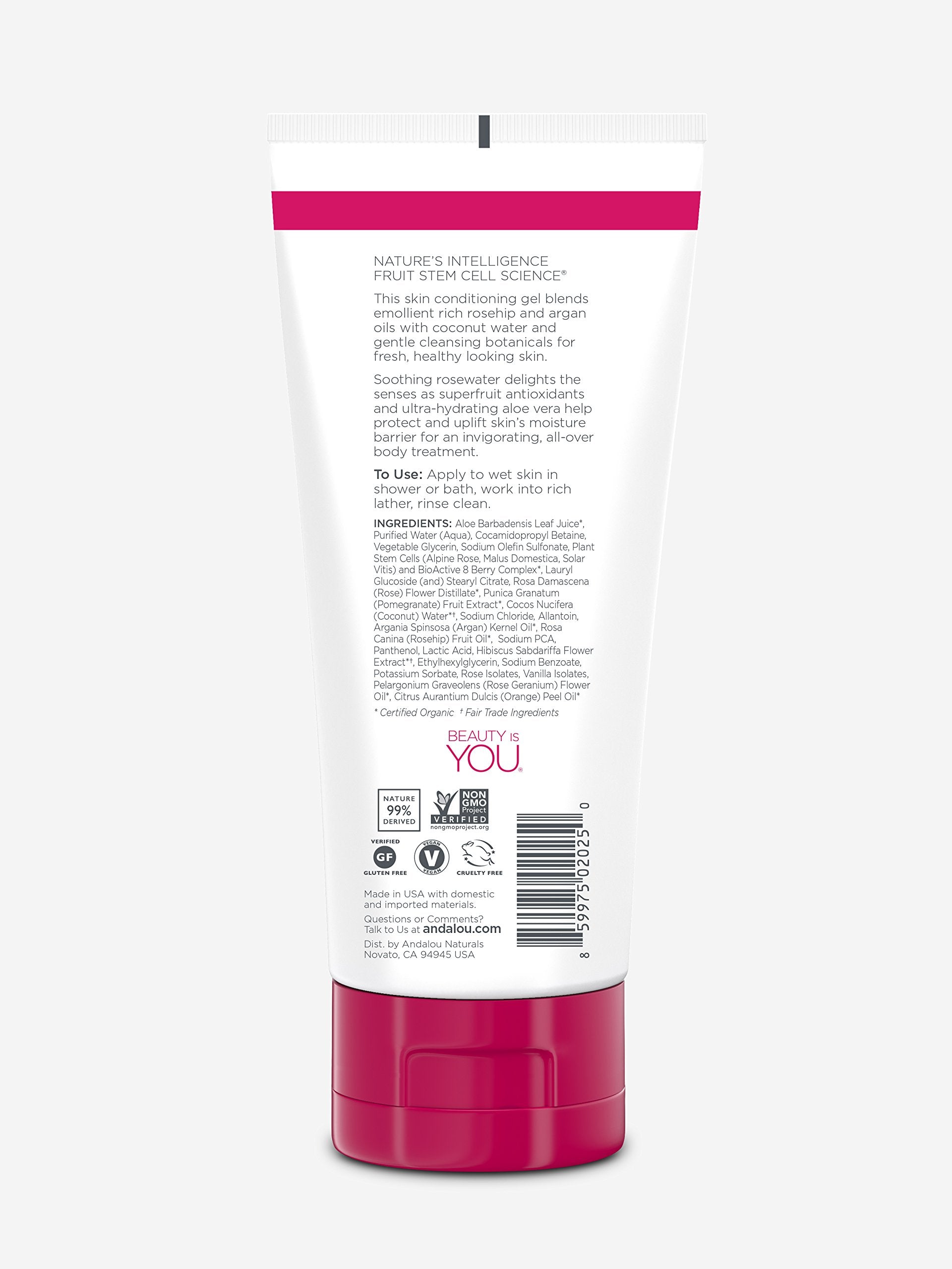 Andalou Naturals 1000 Roses Soothing Shower Gel, 8.5 Ounce