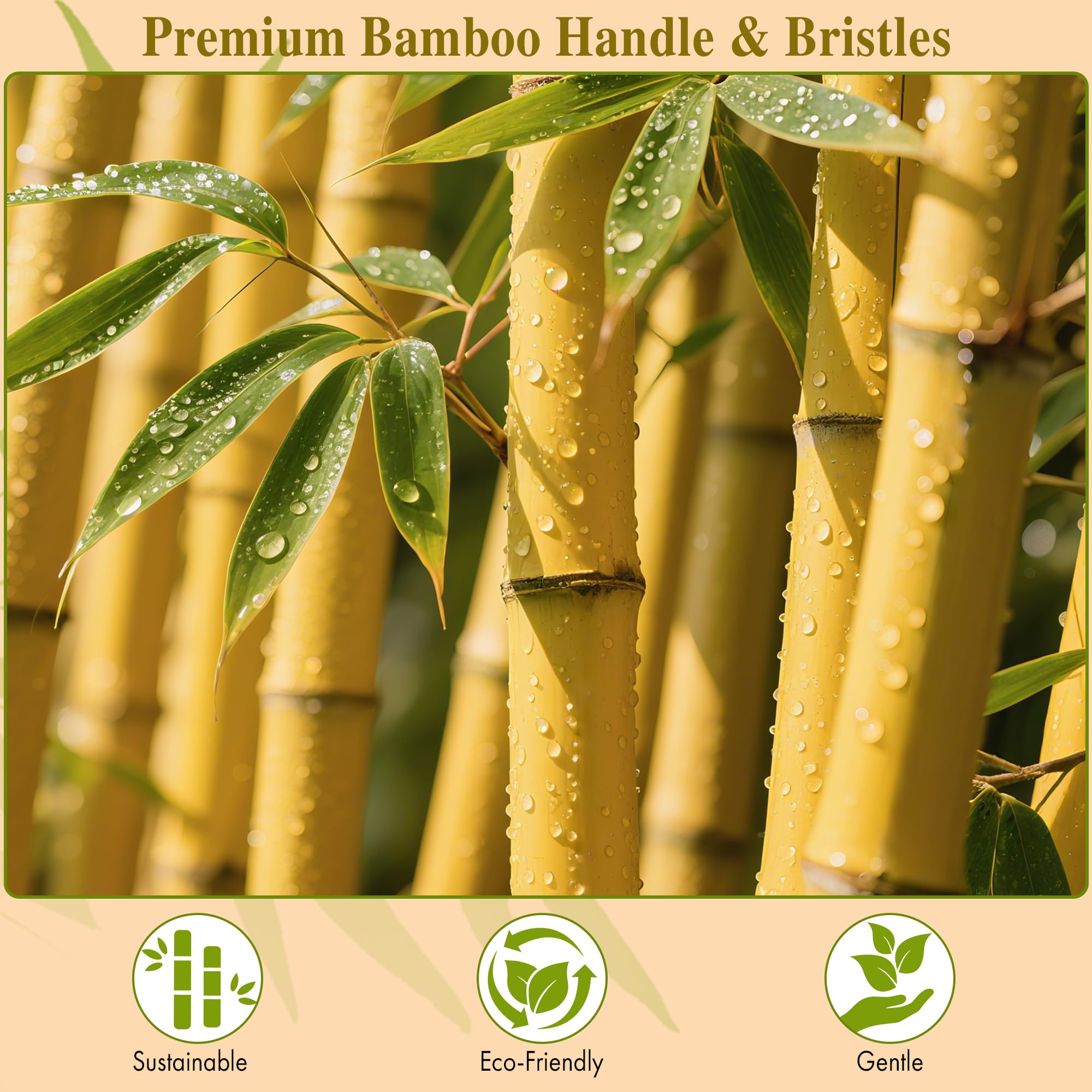 BFWood Bamboo Paddle Hairbrush - Massaging Scalp Brush, 1 Count, Wood Material, Pin Bristle Color