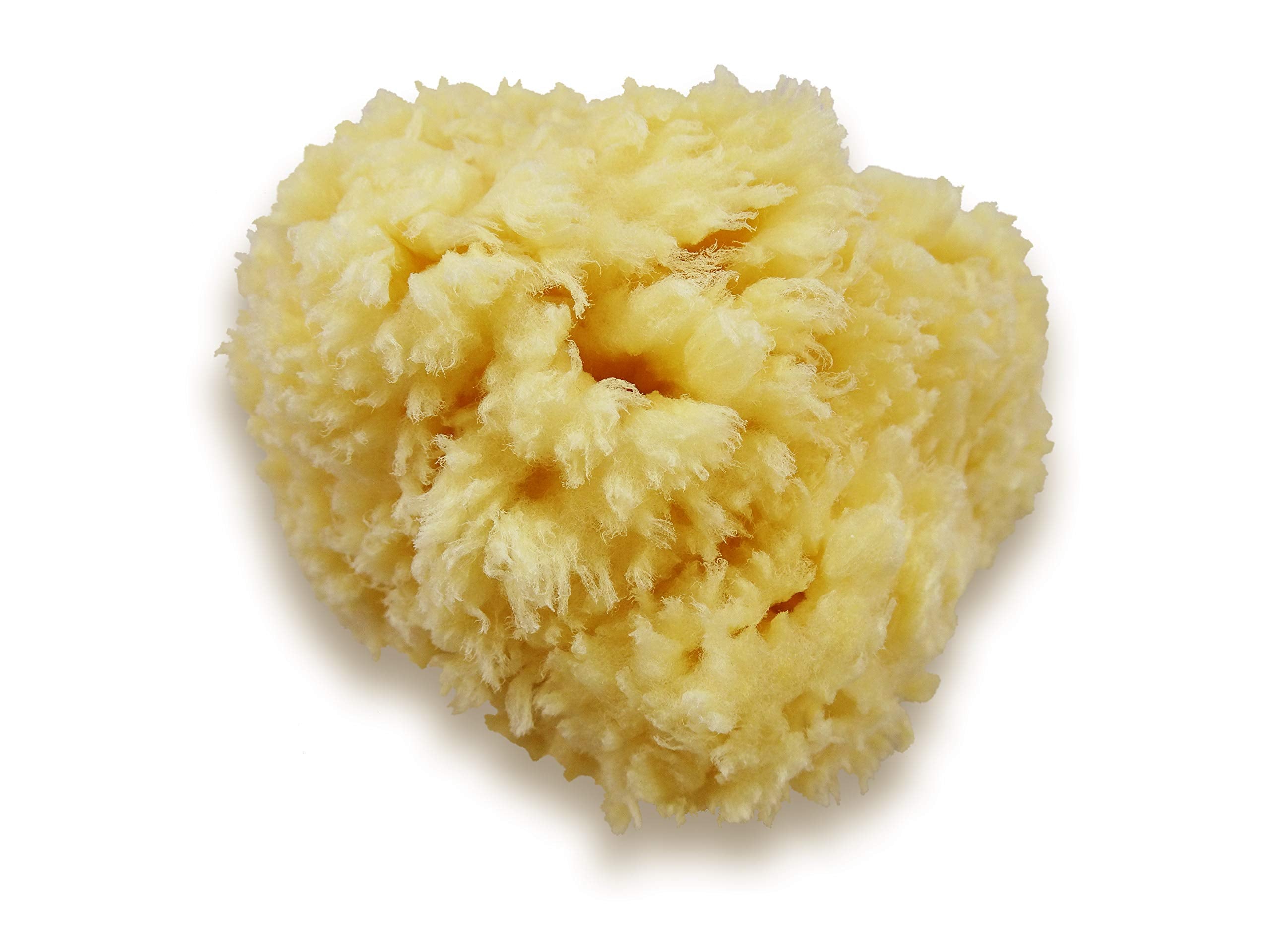 Premium Natural Sea Wool Sponges - 2 Soft Real Sponges 6''-7'' (Large) & 3''- 4'' (Medium); Perfect Luxury Gift For Bath, Shower