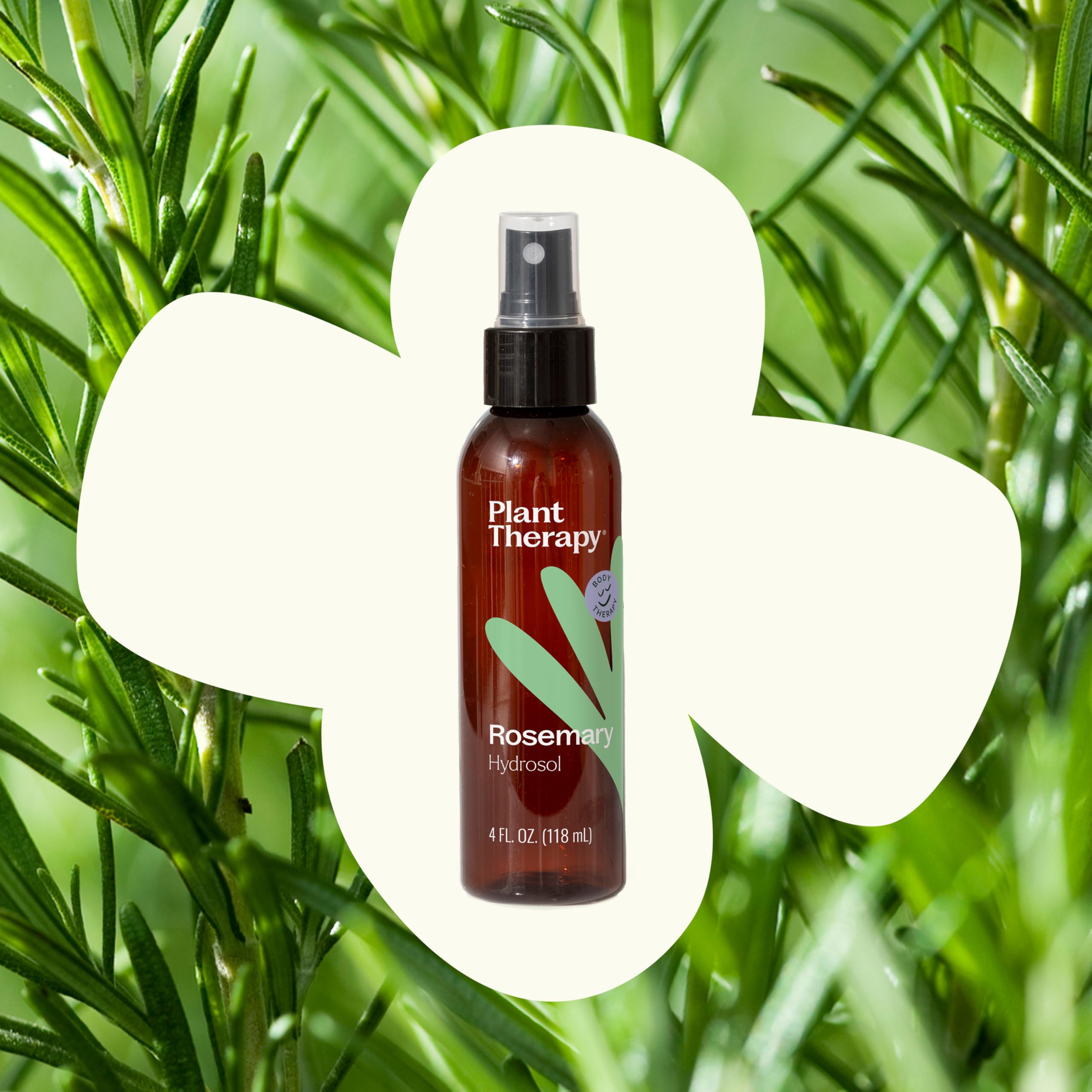 Plant Therapy Rosemary Hydrosol 4 oz (Flower Water) by-Product of Essential Oils