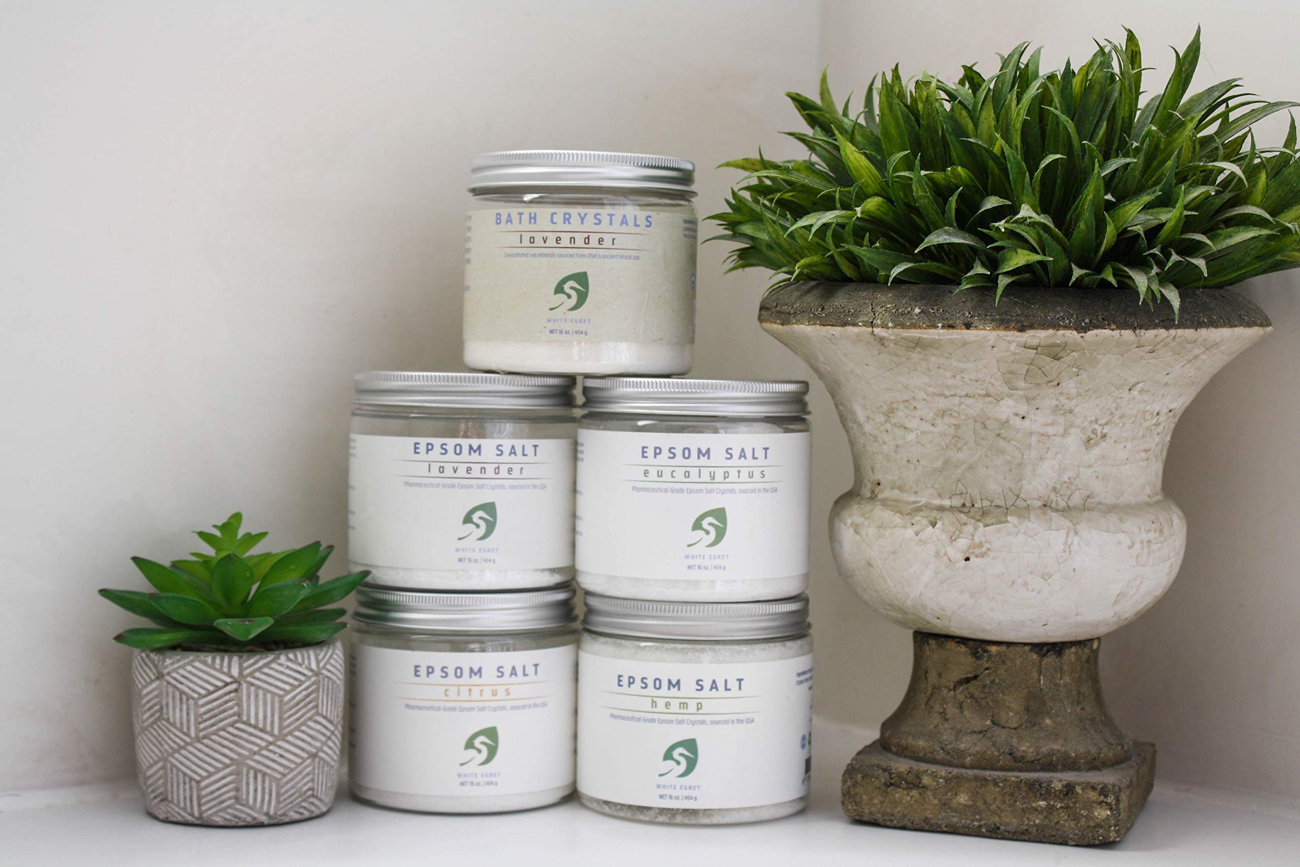 WHITE EGRET Epsom Salt, Eucalyptus, 2.5 Pound