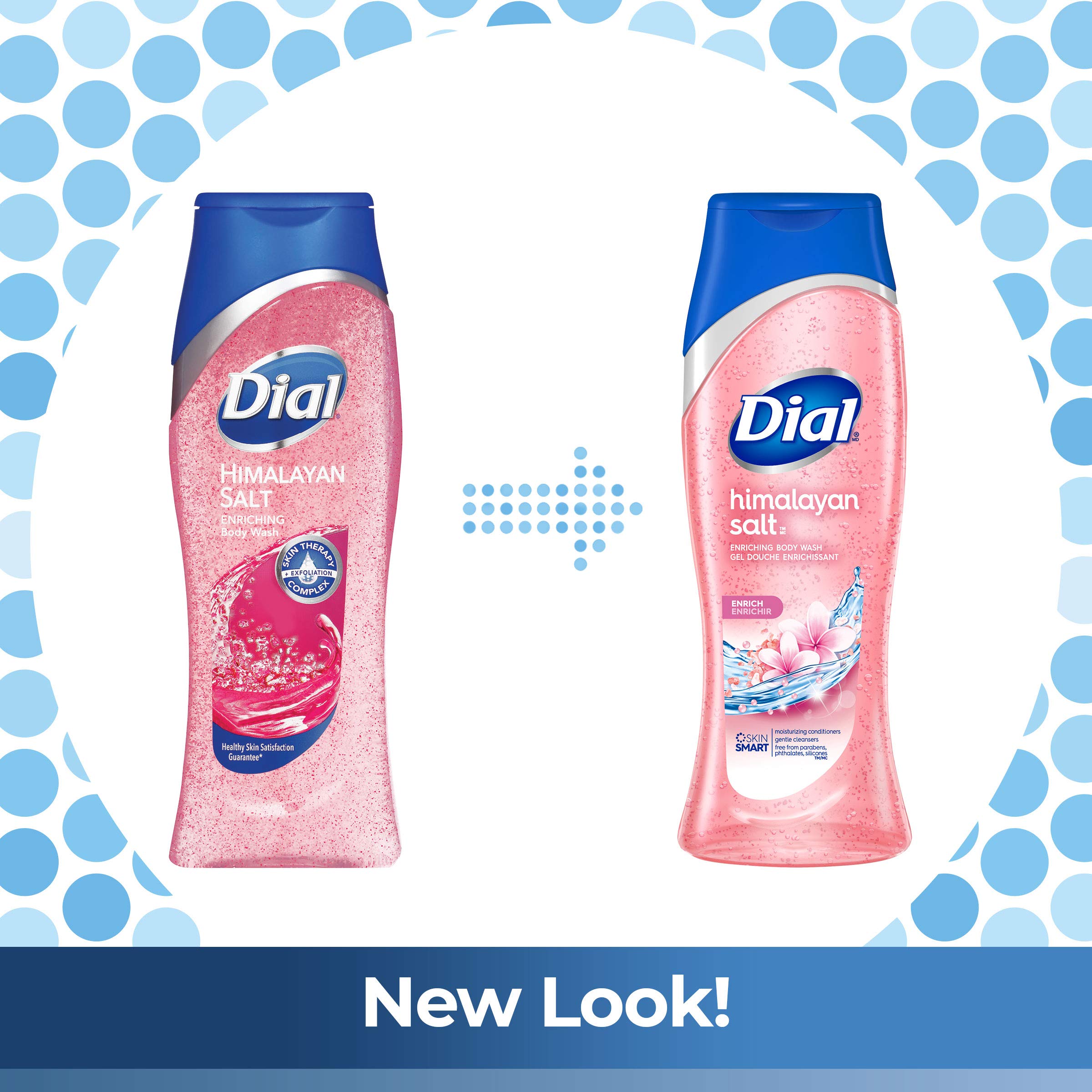 Dial Body Wash, Skin Therapy Himalayan Pink Salt & Water Lily, 16 Fluid Ounces