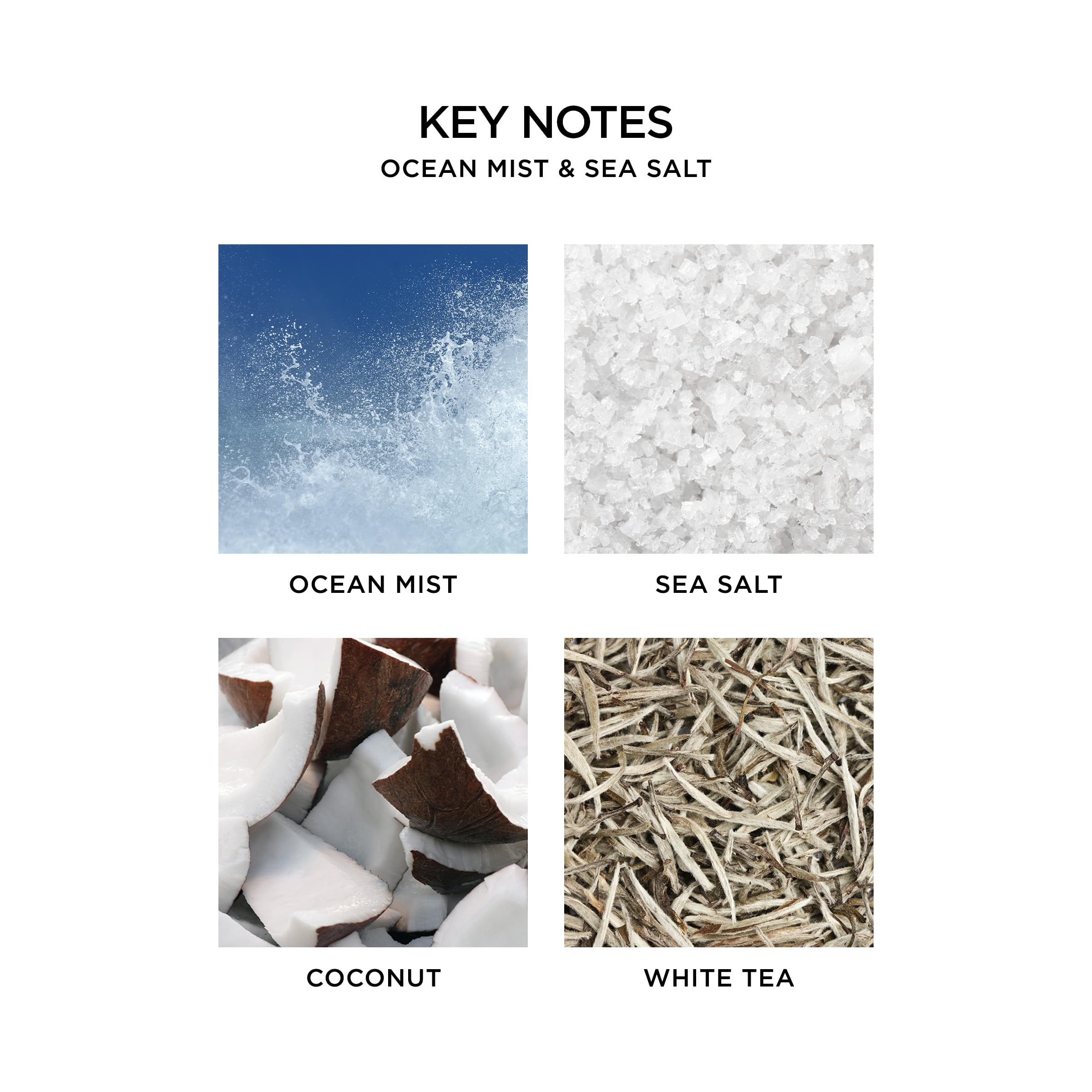 Nest Fragrances Ocean Mist & Sea Salt Liquid Soap 10 Fl Oz (Pack Of 1)