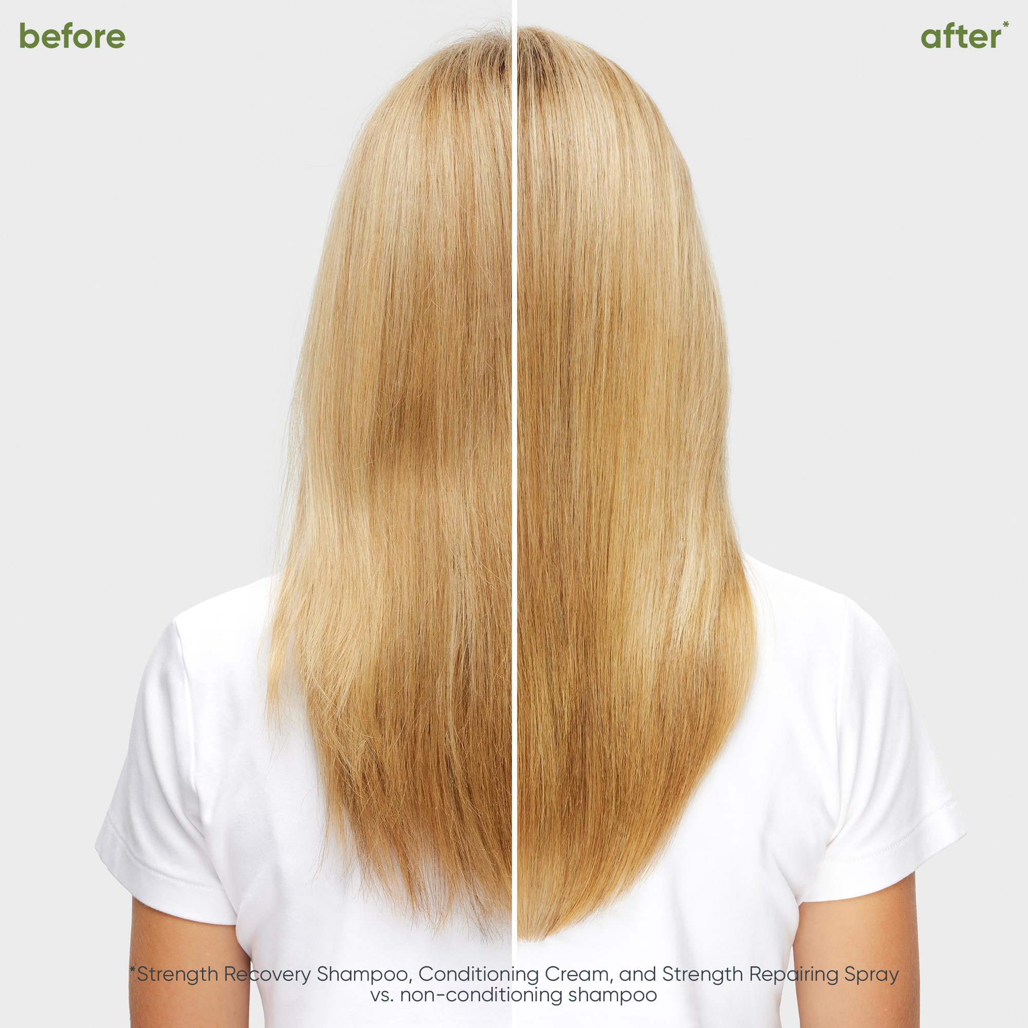 Biolage Strength Recovery Shampoo | Gently Cleanses & Reduces Breakage | For All Damaged & Sensitized Hair | Vegan | Cruelty-Fre