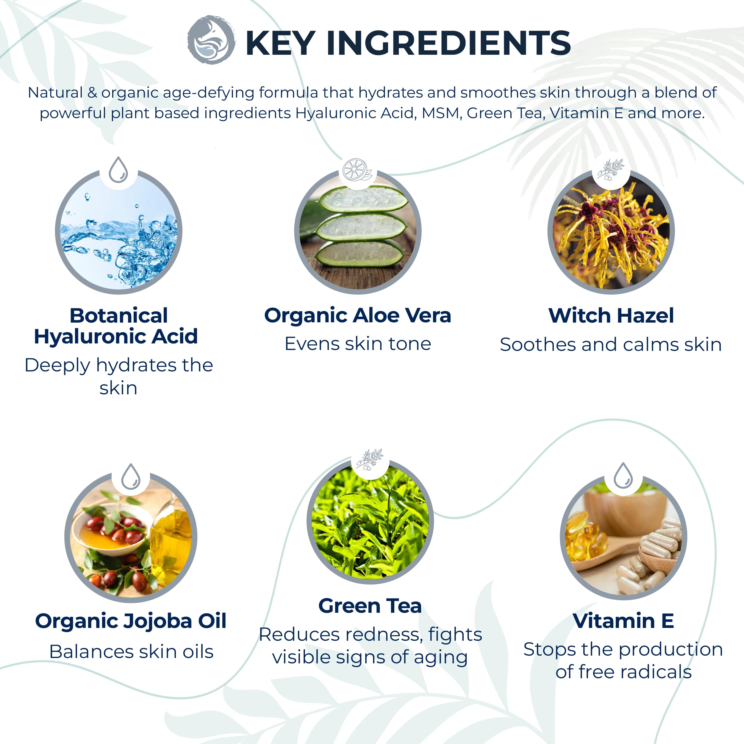 Hyaluronic Acid Face Serum - Hydrating Anti Wrinkle Anti Aging Facial Serum - With Vitamin C And E, Green Tea, Jojoba Oil - Natu