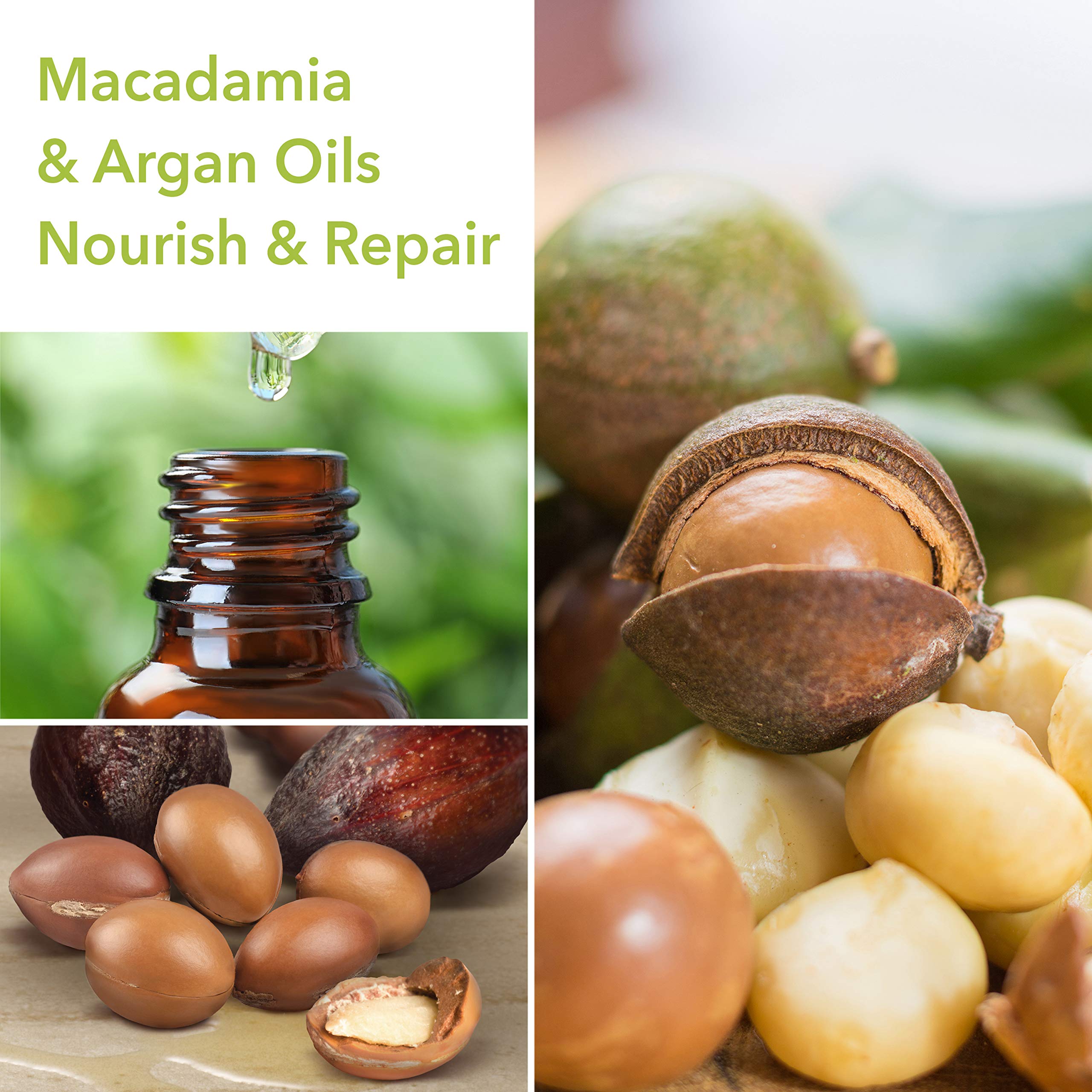 Macadamia By Macadamia