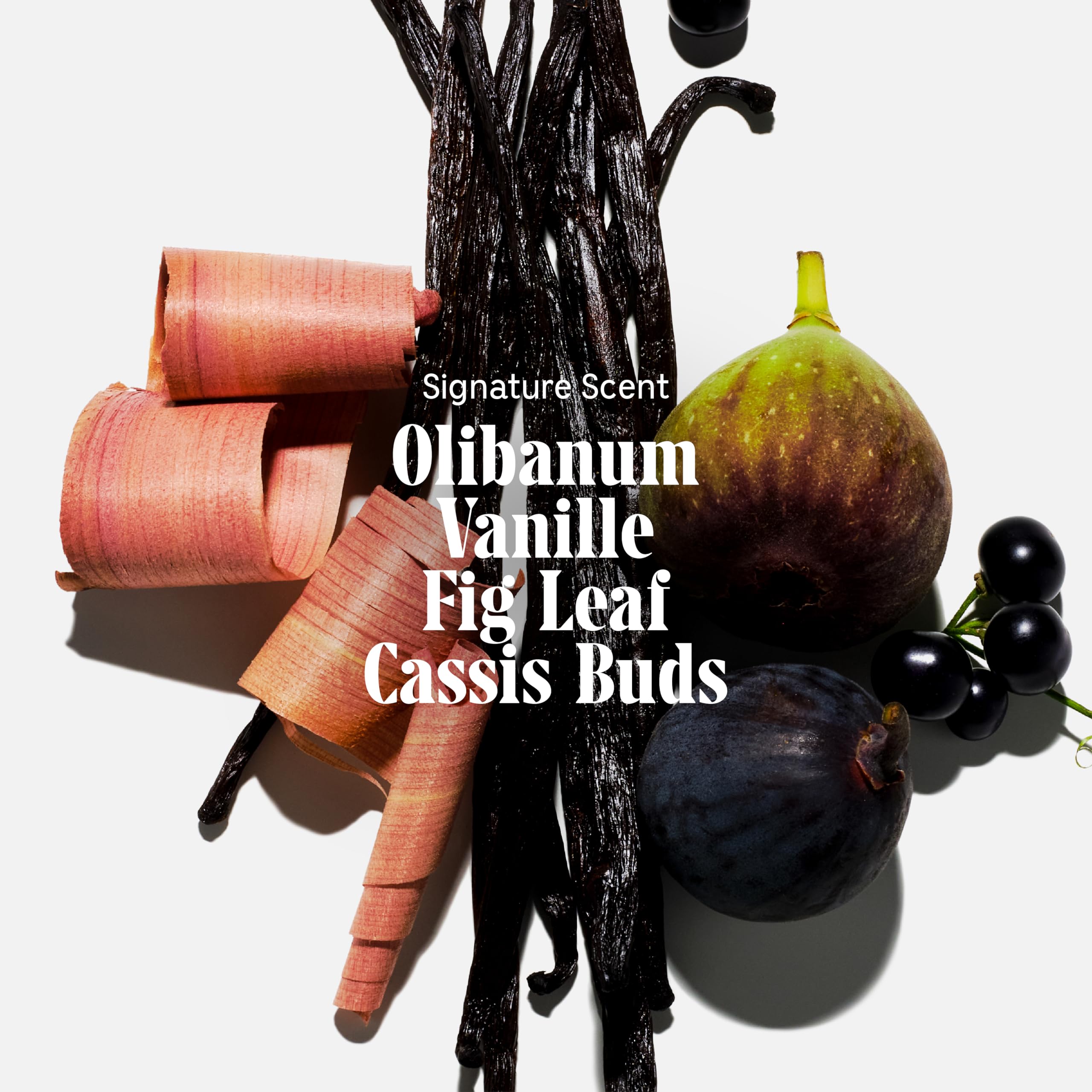 N  Cessaire The Body Wash For Women + Men. Olibanum. Radiance Cleanse. Multi-Enzyme Gel Cleanser For Dull Skin. Hypoallergenic.