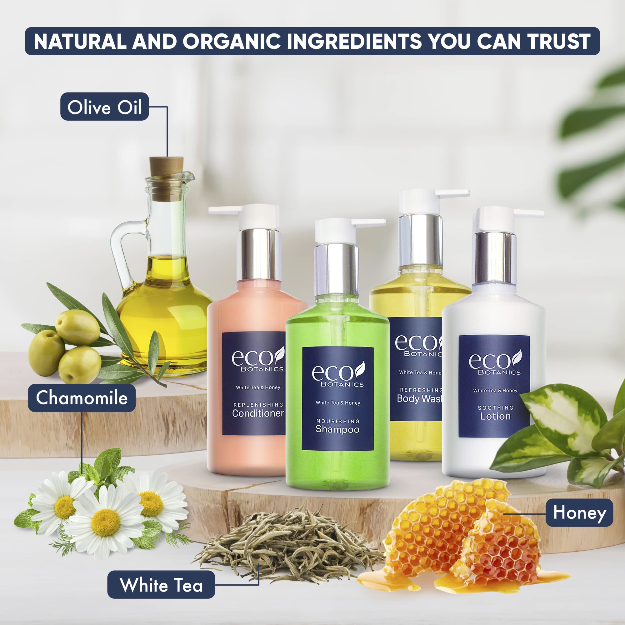 Eco Botanics Amenities Set,10.14 Oz. Pumps (1 Of Each) Shampoo, Conditioner, Hand/Body Wash, And Lotion (Set Of 4)