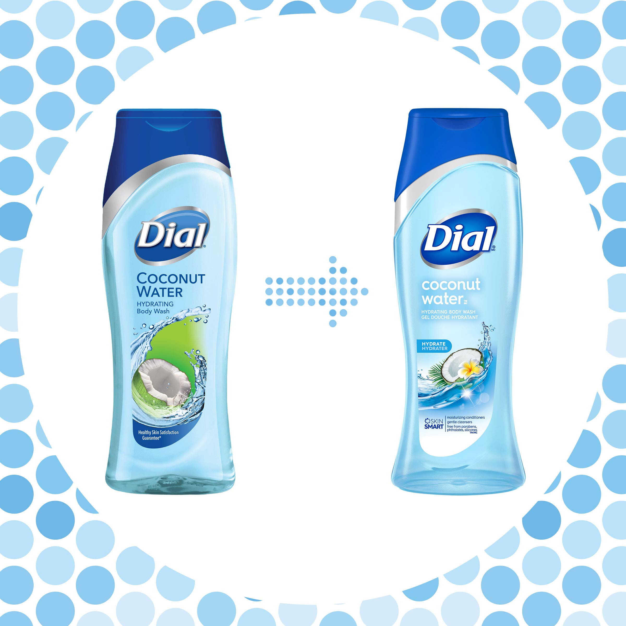 Dial Body Wash Coconut Water And Bamboo Leaf Extract, 16 Ounce (Pack Of 3)