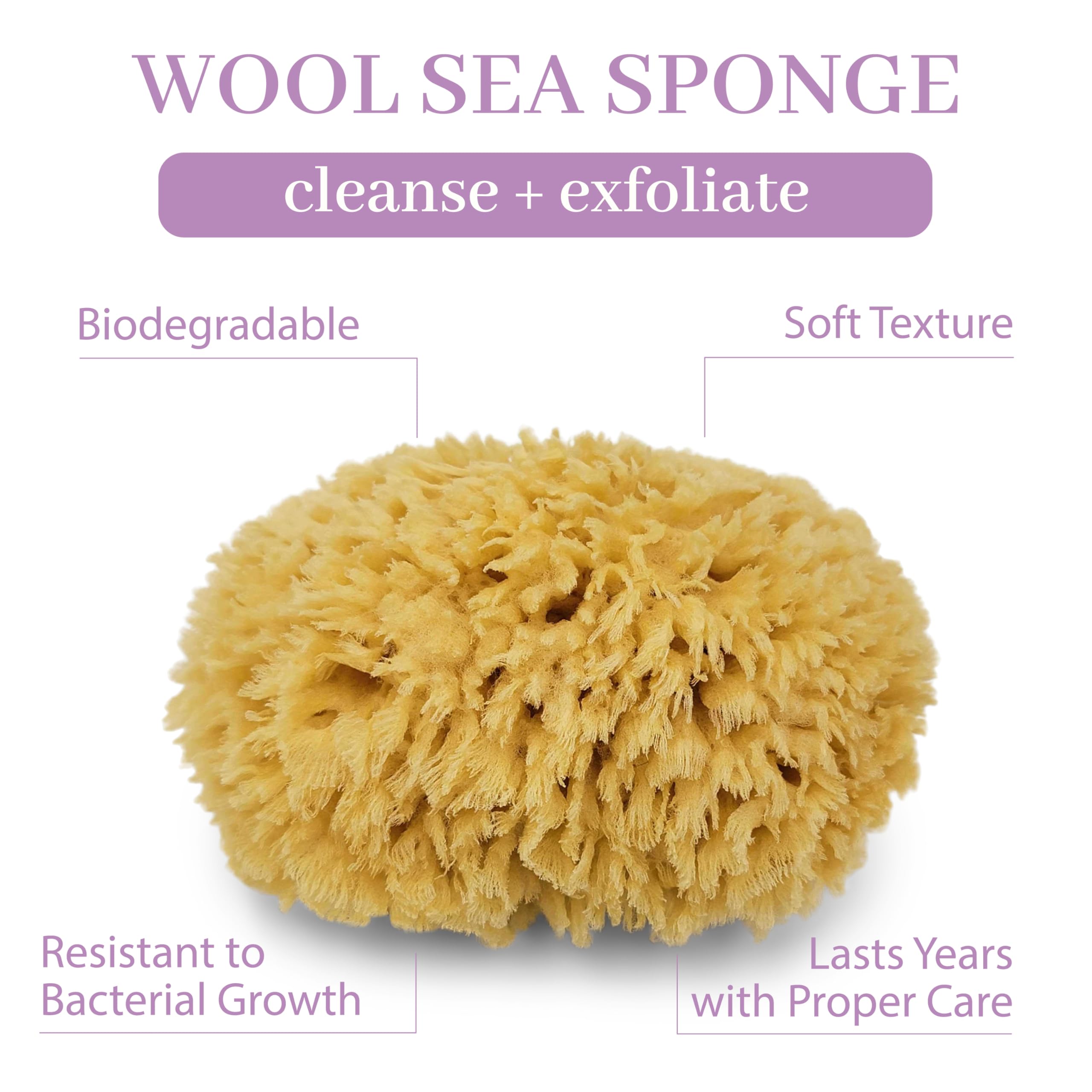 Sea Wool Sponge By Baudelaire 4.5'' - Natural Sea Sponges For Bathing - Bath Sea Sponge For Shower - Natural Sea Sponge Loofah |