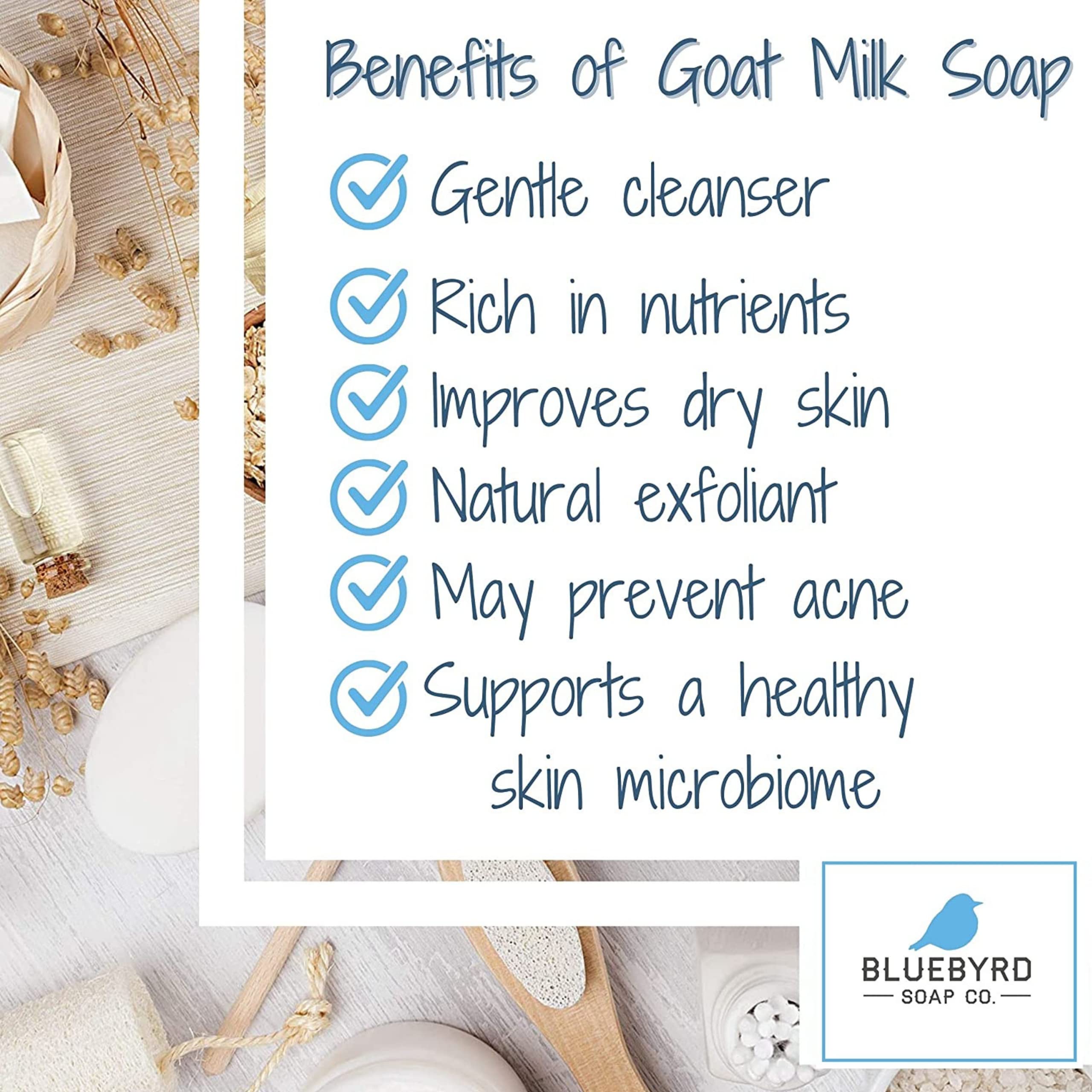 Bluebyrd Soap Woods + Berry Natural Goat's Milk Soap Bar | Handmade Organic Goat Milk Soap - Scents of Earthy Woods, Grapefruit,