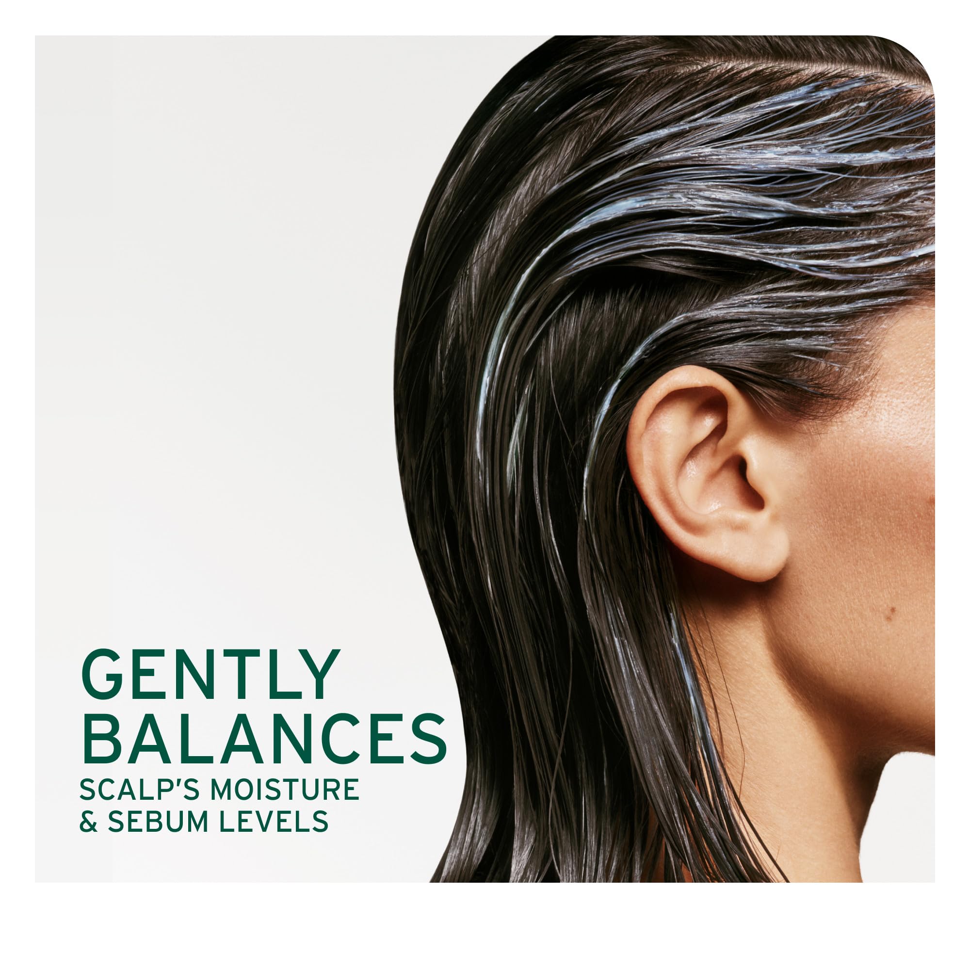 Biolage Scalp Sync Oil Balancing Serum - Absorbs Excess Oil, For Oily Scalp, Fermented Tea Blend, Vegan & Paraben-Free, 1.6 Fl O